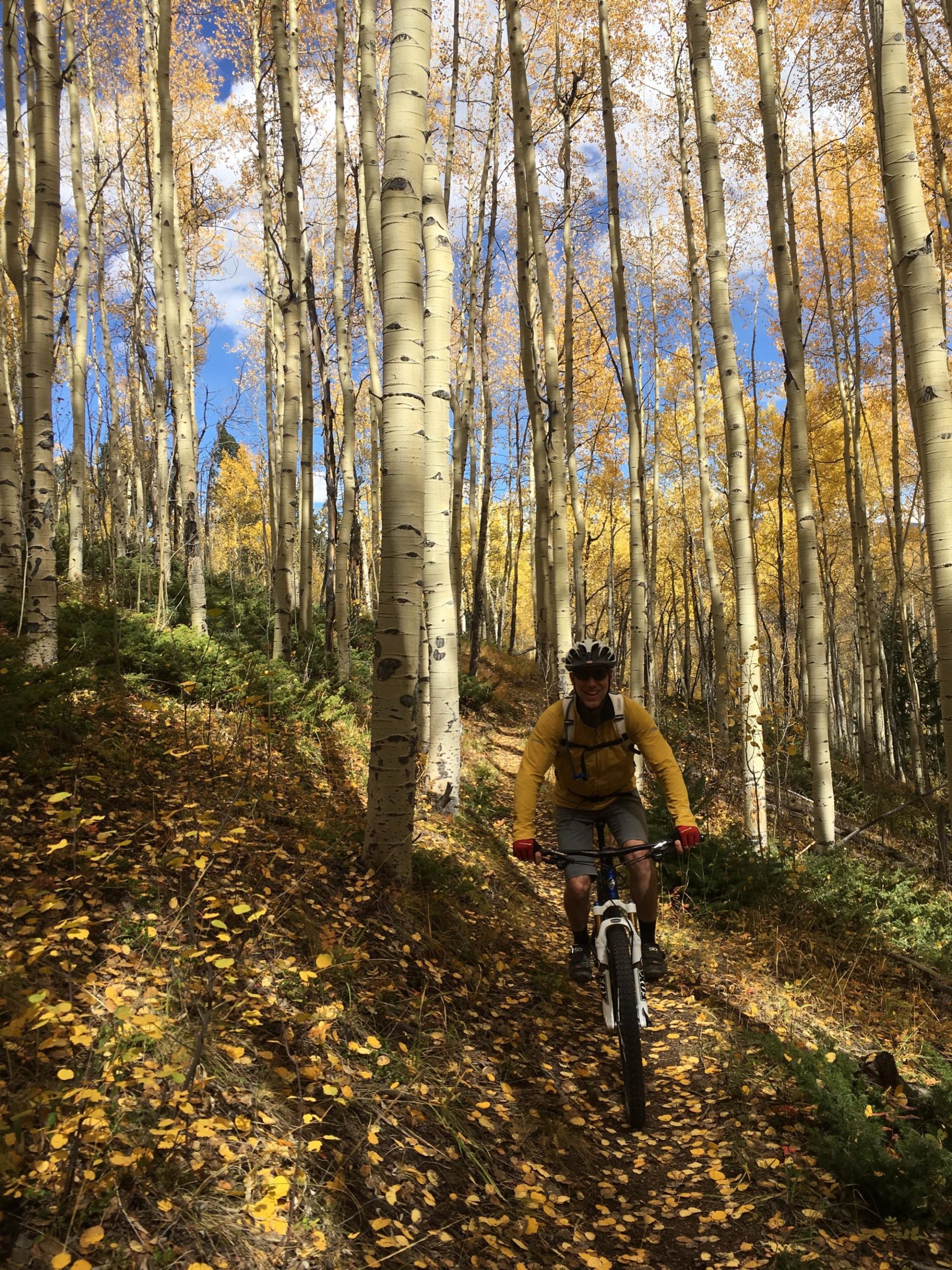 A person in a yellow jacket rides a mountain bike along a narrow trail surrounded by tall aspen trees, their leaves in vibrant fall colors. The ground is covered with fallen yellow leaves, and the sky is partly cloudy with glimpses of blue. Colorado Trail: Clear Creek Thd to Lake View CG / Hwy 82 mountain bike trail.