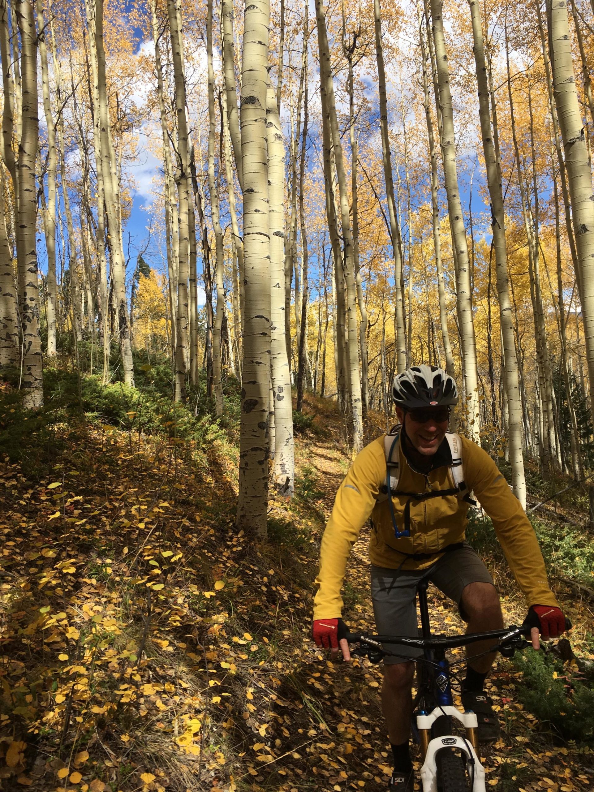 A cyclist riding a mountain bike on a dirt trail surrounded by tall aspen trees with vibrant yellow leaves. The bright blue sky peeks through the foliage, and the ground is covered with fallen leaves. The cyclist is wearing a helmet, a yellow jacket, and red gloves, smiling as they navigate through the picturesque autumn landscape. Colorado Trail: Clear Creek Thd to Lake View CG / Hwy 82 mountain bike trail.