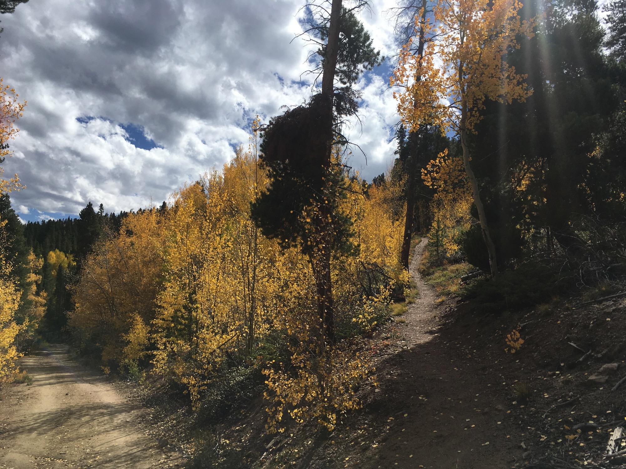 A scenic view of a dirt path winding through a vibrant forest filled with golden aspen trees, under a partly cloudy sky. The sun’s rays peek through the clouds, illuminating the path and the surrounding foliage. Colorado Trail: Clear Creek Thd to Lake View CG / Hwy 82 mountain bike trail.