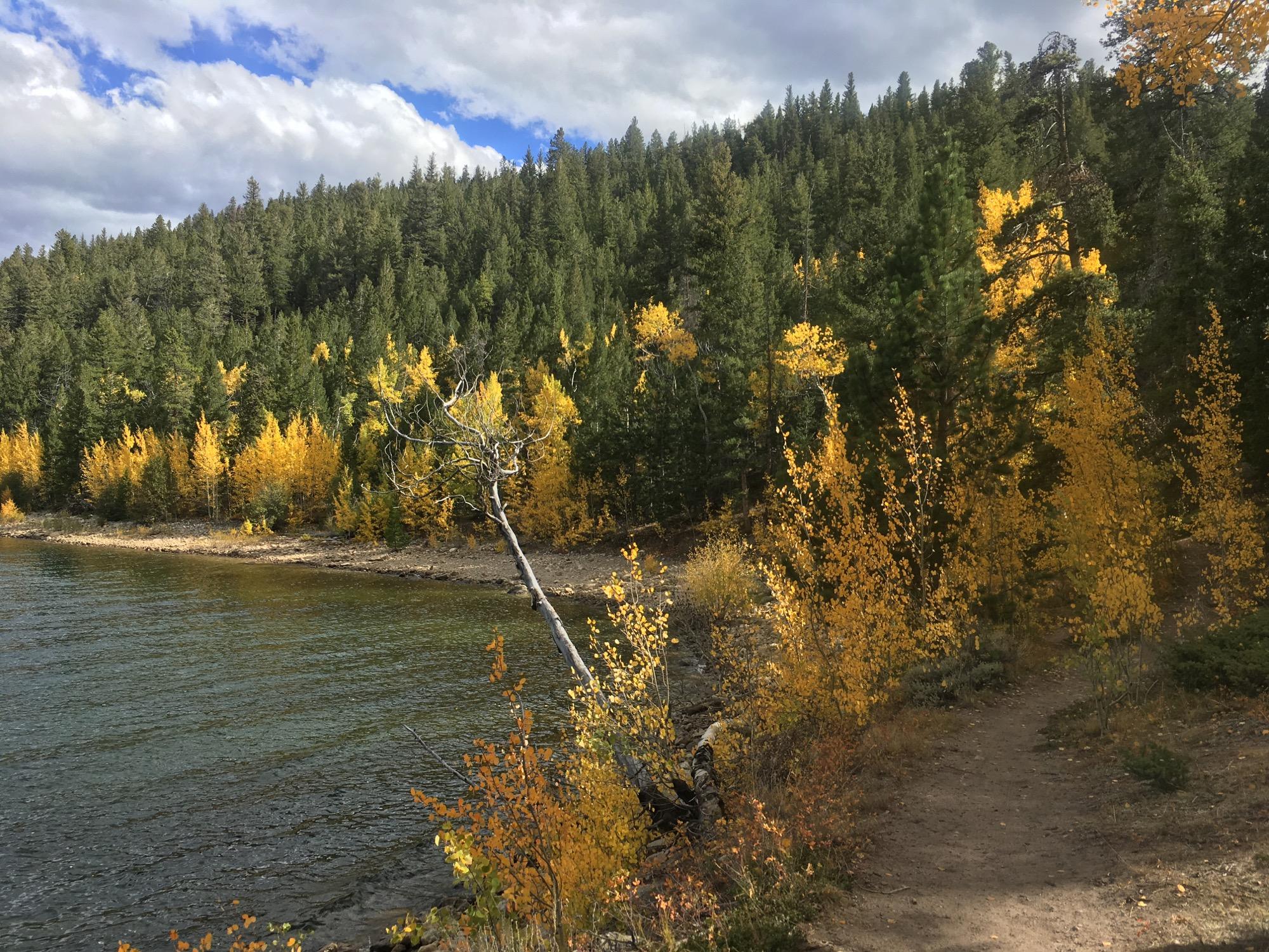 Autumn landscape featuring a serene lake bordered by a gentle shoreline. The scene showcases vibrant yellow and green trees against a backdrop of a cloudy sky, with a dirt path winding through the foliage. Twin Lakes Loop mountain bike trail.