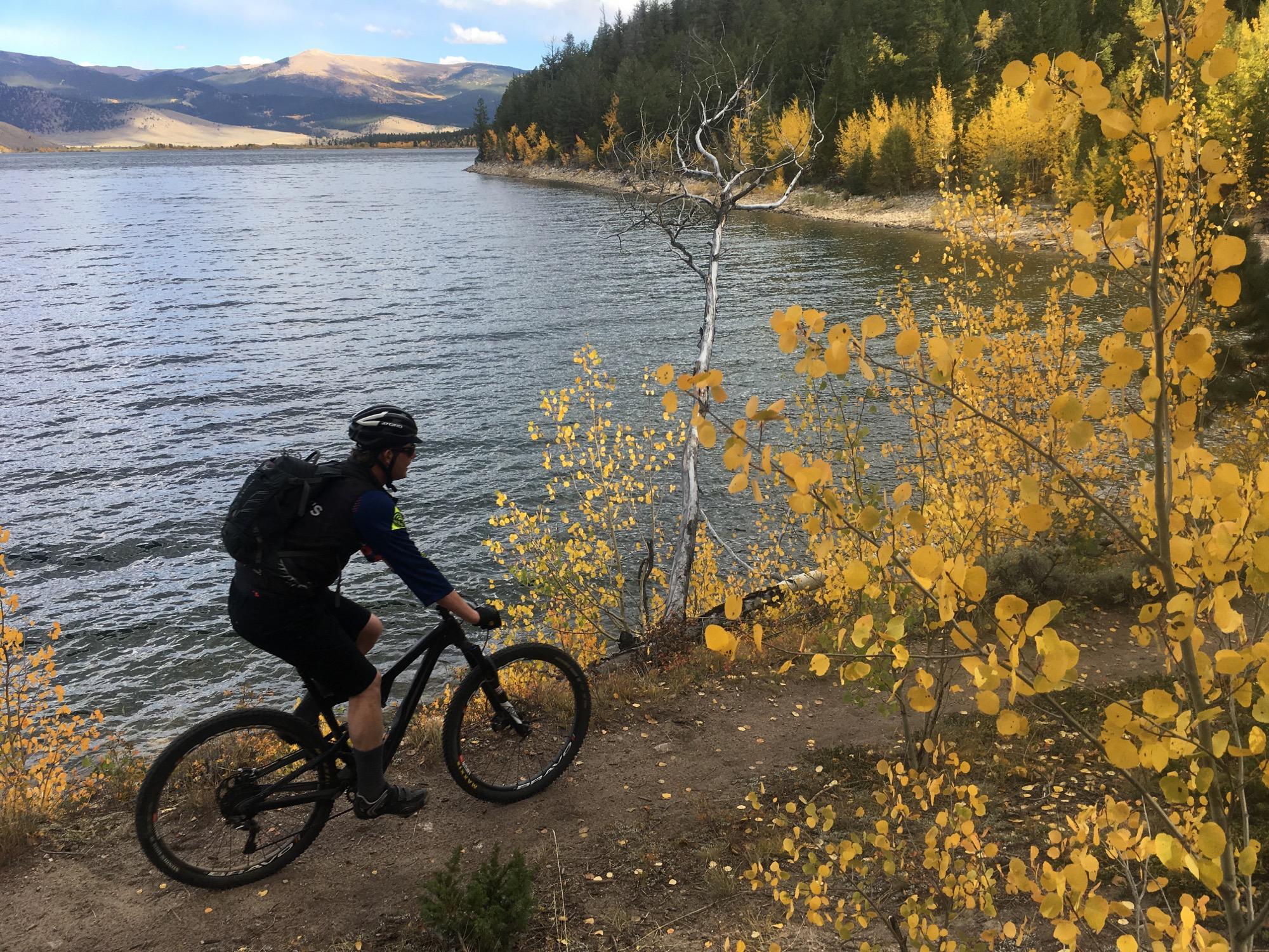 A cyclist riding a mountain bike along a lakeside trail, surrounded by vibrant yellow autumn foliage, with mountains in the background and a clear blue sky. Colorado Trail: Clear Creek Thd to Lake View CG / Hwy 82 mountain bike trail.