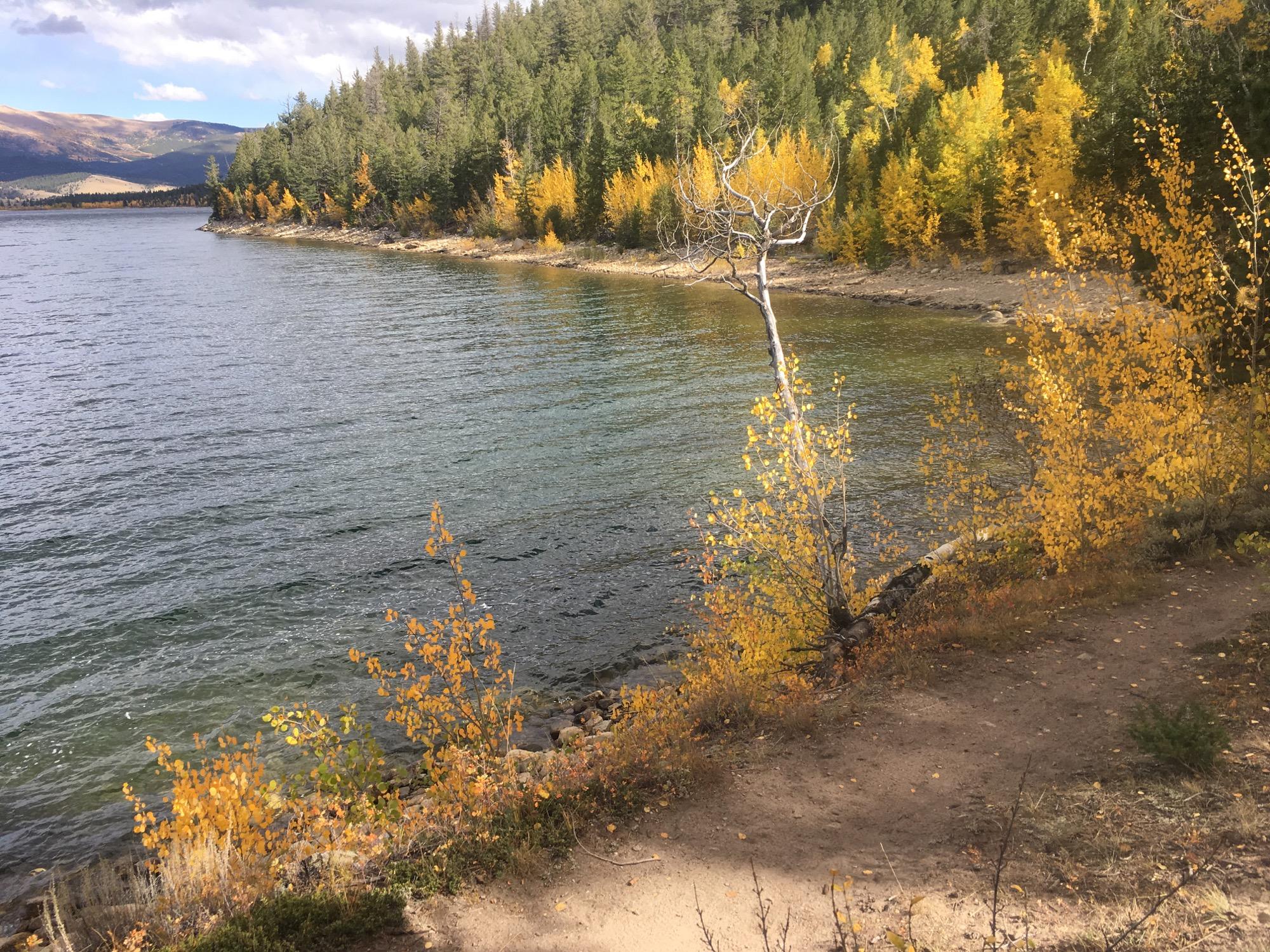 A tranquil lakeside scene featuring clear water gently lapping at the shore, framed by a mix of evergreen trees and vibrant yellow autumn foliage. A solitary leafless tree stands on the edge of the water, while a sandy path winds along the shoreline, inviting exploration. The backdrop showcases rolling hills under a partly cloudy sky. Colorado Trail: Clear Creek Thd to Lake View CG / Hwy 82 mountain bike trail.