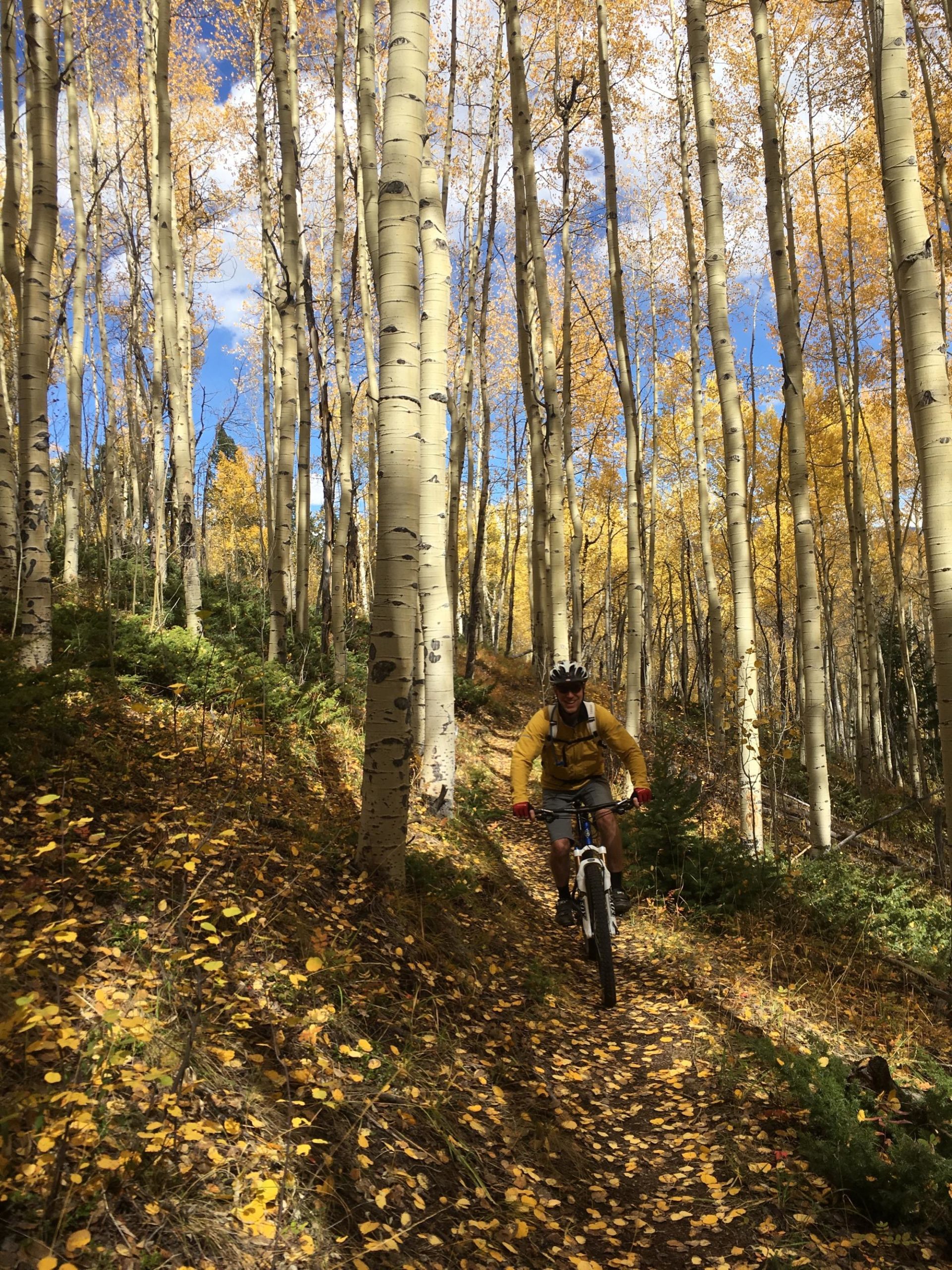 A mountain biker riding along a narrow trail surrounded by tall aspen trees with golden leaves. The ground is covered with fallen yellow leaves, and the sky is a mix of blue and white clouds. Twin Lakes Loop mountain bike trail.