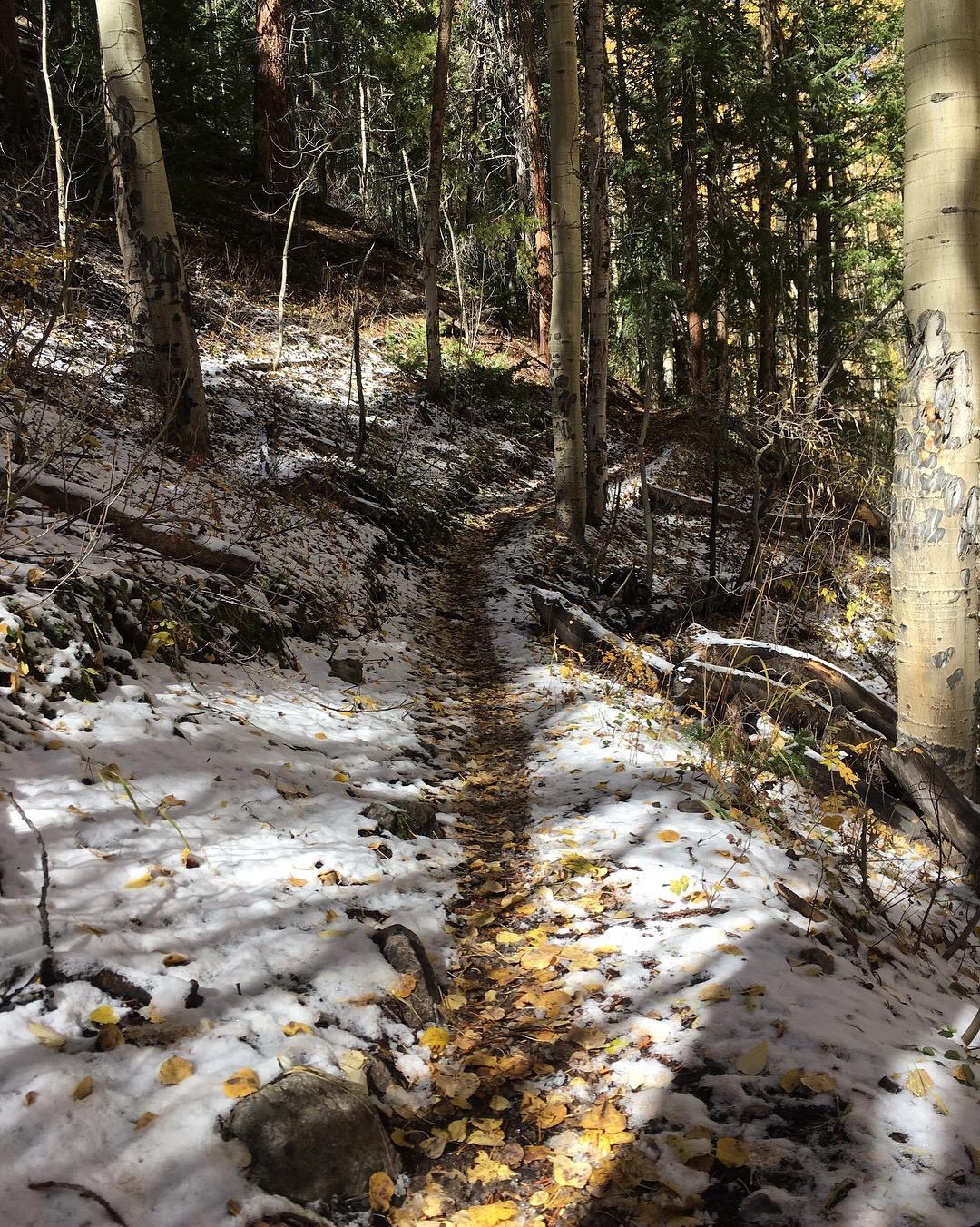 A winding dirt path through a forest, with patches of snow on the ground and scattered yellow leaves. Tall trees with varying shades of bark surround the trail, creating a tranquil, natural setting. Sunlight filters through the branches, illuminating parts of the scene. Colorado Trail: Twin Lakes / Hwy 82 to Half Moon Rd / Mount Massive Wilderness mountain bike trail.