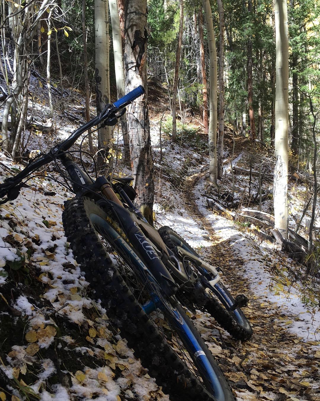 A close-up view of two mountain bikes leaning against a tree on a snowy, leaf-covered trail in a forest. The path winds through tall trees, showcasing autumn foliage and a serene, natural environment. Colorado Trail: Twin Lakes / Hwy 82 to Half Moon Rd / Mount Massive Wilderness mountain bike trail.