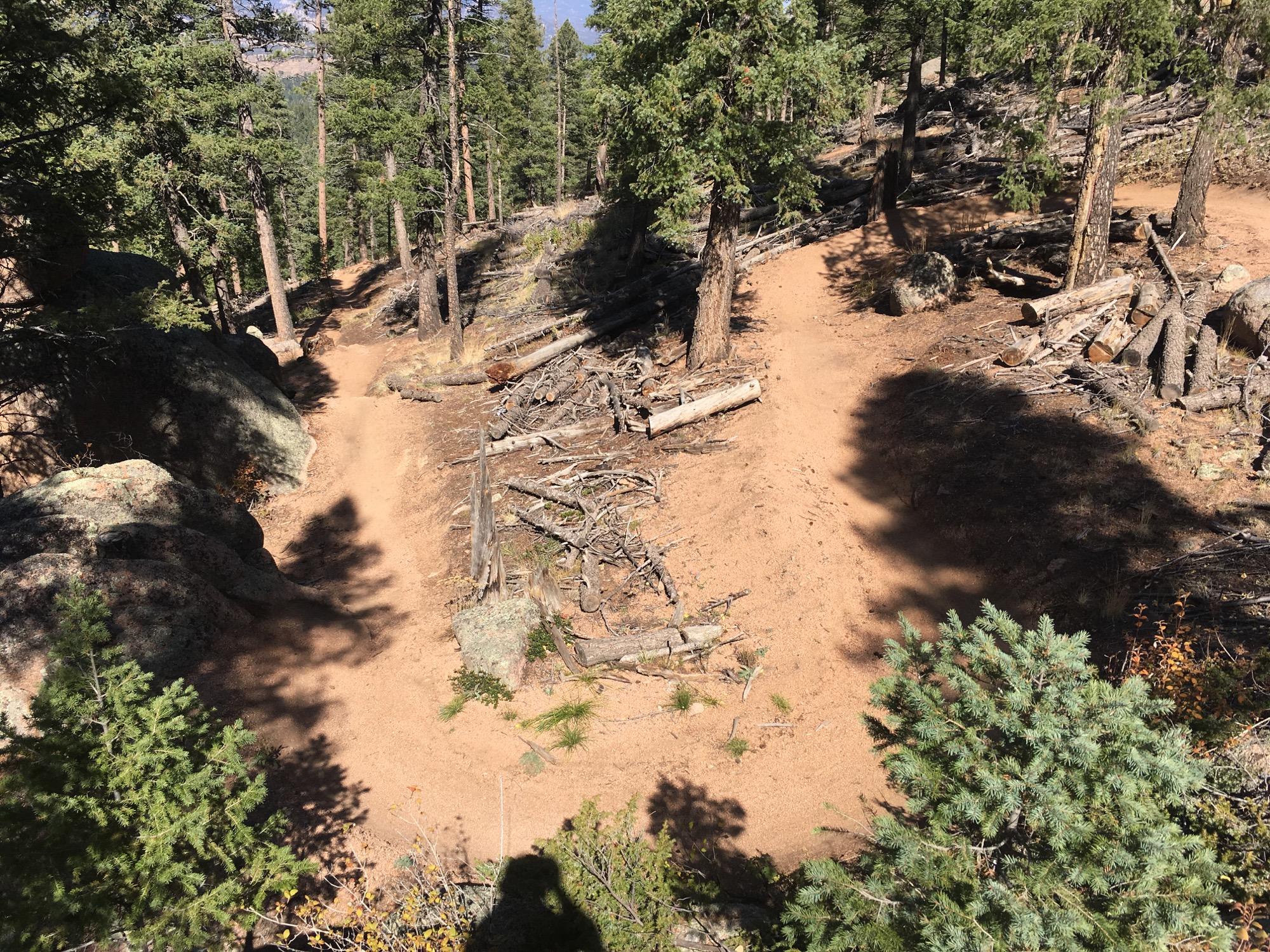 A sandy trail winding through a forest, surrounded by tall pine trees and scattered logs. The path features gentle curves and is partially shaded by tree canopies, with rocky outcrops visible along the sides. Sunlight filters through the foliage, creating dappled shadows on the ground. Little Scraggy mountain bike trail.