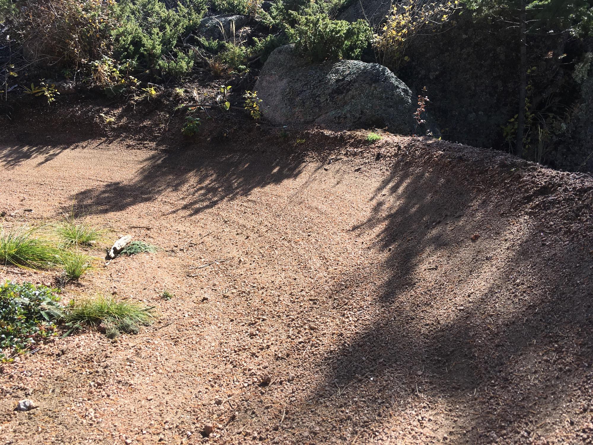 A sandy, slightly sloped trail with scattered patches of grass and small shrubs, surrounded by rocks and trees. The sunlight creates shadows on the ground, emphasizing the texture of the soil and vegetation. Little Scraggy mountain bike trail.
