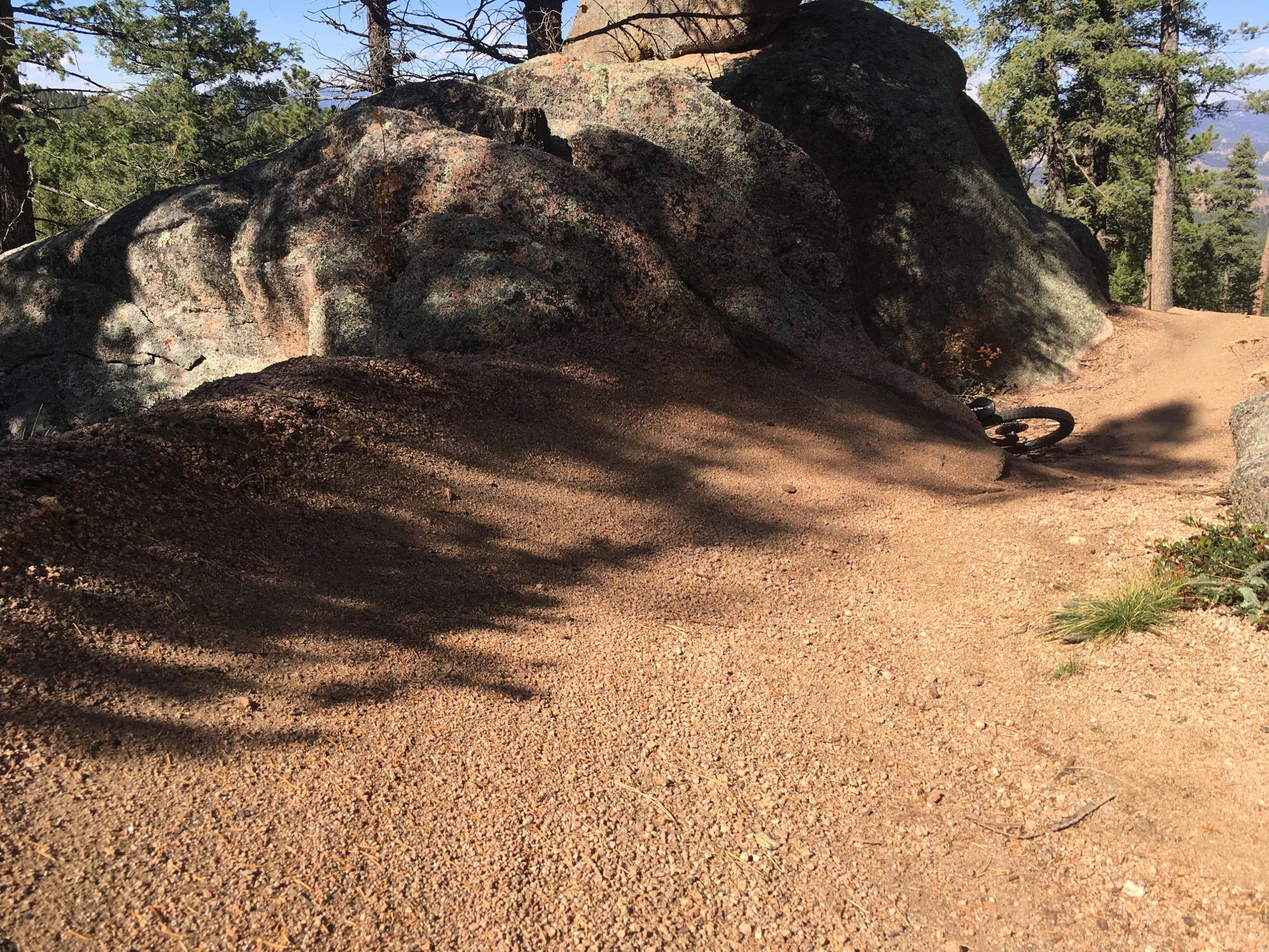 A mountain biking trail winding around a large rock, with sandy terrain and scattered pine needles. Sunlight filters through the trees, casting shadows on the path. A partial view of a bicycle wheel is visible, suggesting recent activity on the trail. Little Scraggy mountain bike trail.