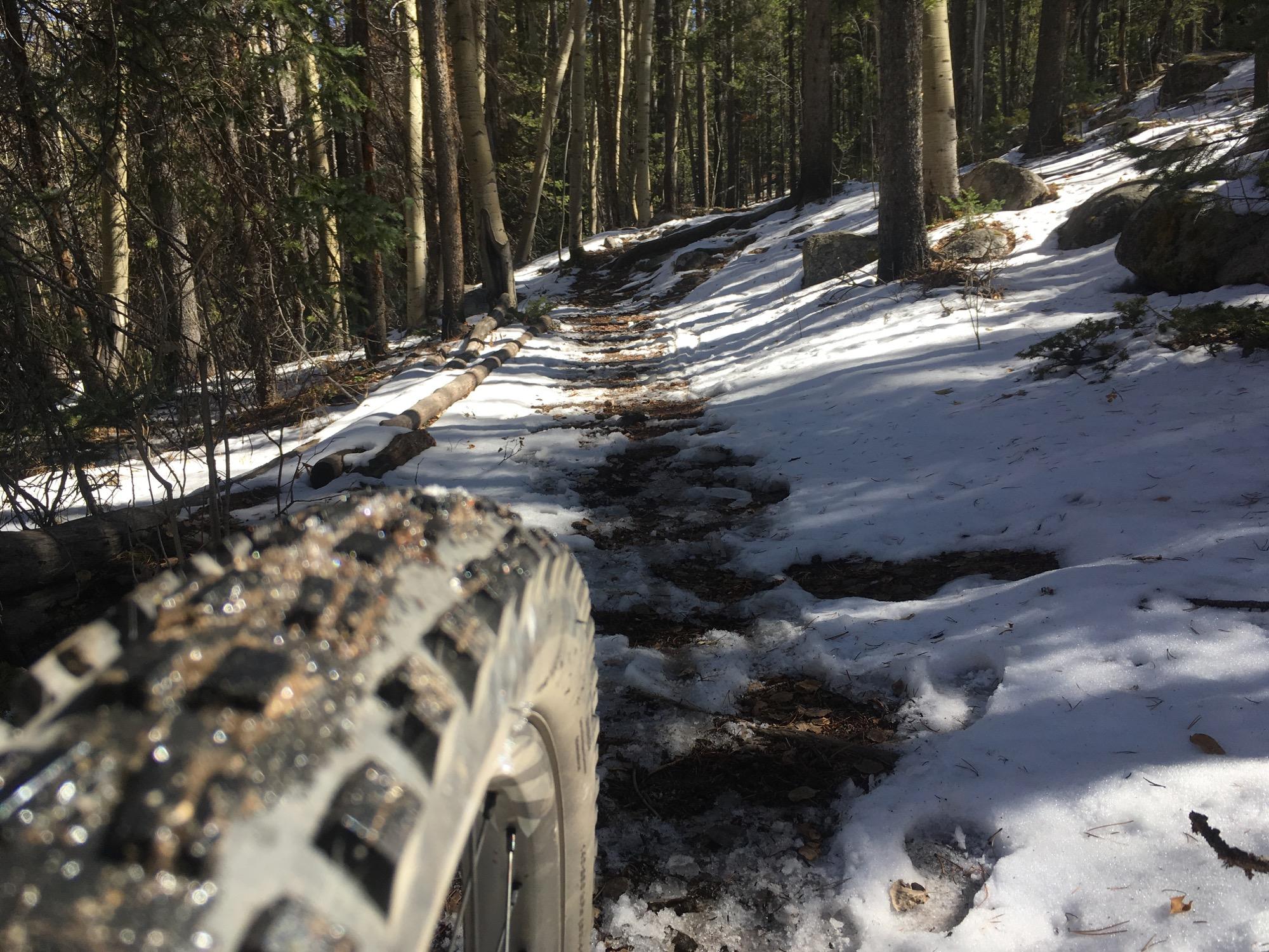 A close-up view of a mountain bike tire on a snowy trail, surrounded by tall trees. The path shows a mix of snow, dirt, and scattered rocks, indicating a recent ride in a forested area. Sunlight filters through the trees, highlighting the natural landscape. Colorado Trail: Mt. Shavano thd to Chalk Creek thd mountain bike trail.