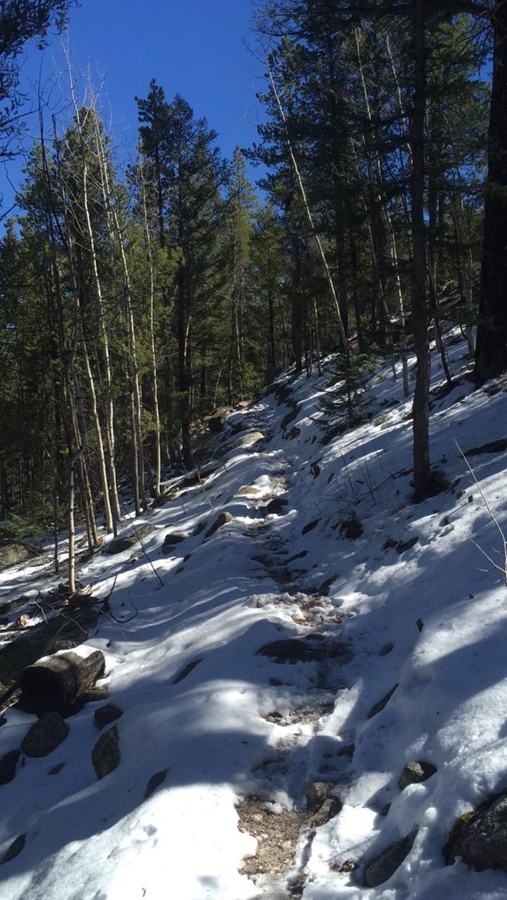 A winding dirt trail covered in patches of snow, surrounded by tall evergreen trees and a clear blue sky. The path leads into a forested area, showing the natural beauty of a winter landscape. Colorado Trail: Mt. Shavano thd to Chalk Creek thd mountain bike trail.