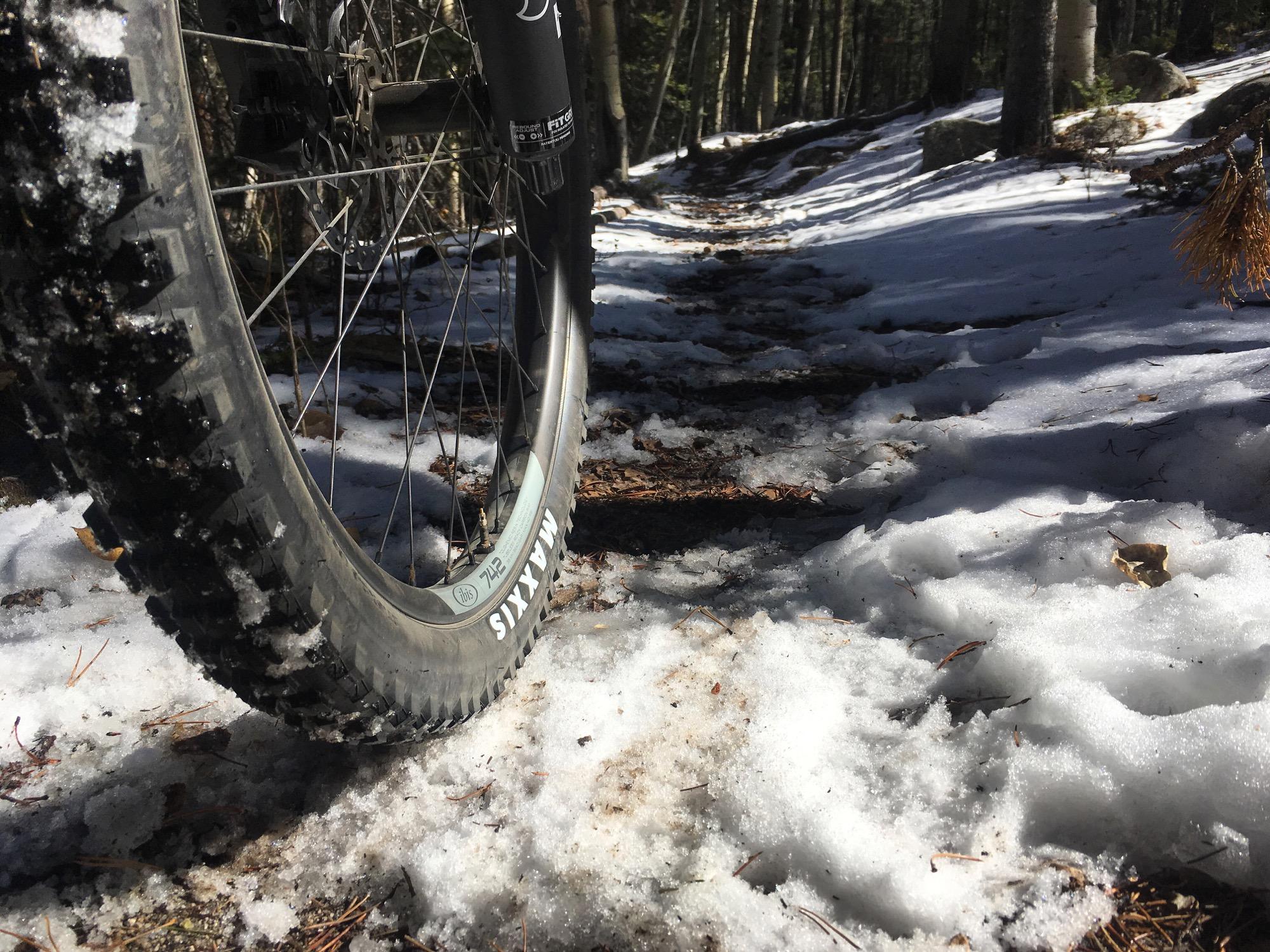 A close-up view of a mountain bike tire resting on a snowy trail, surrounded by pine needles and sunlight filtering through trees in a forested area. Colorado Trail: Mt. Shavano thd to Chalk Creek thd mountain bike trail.
