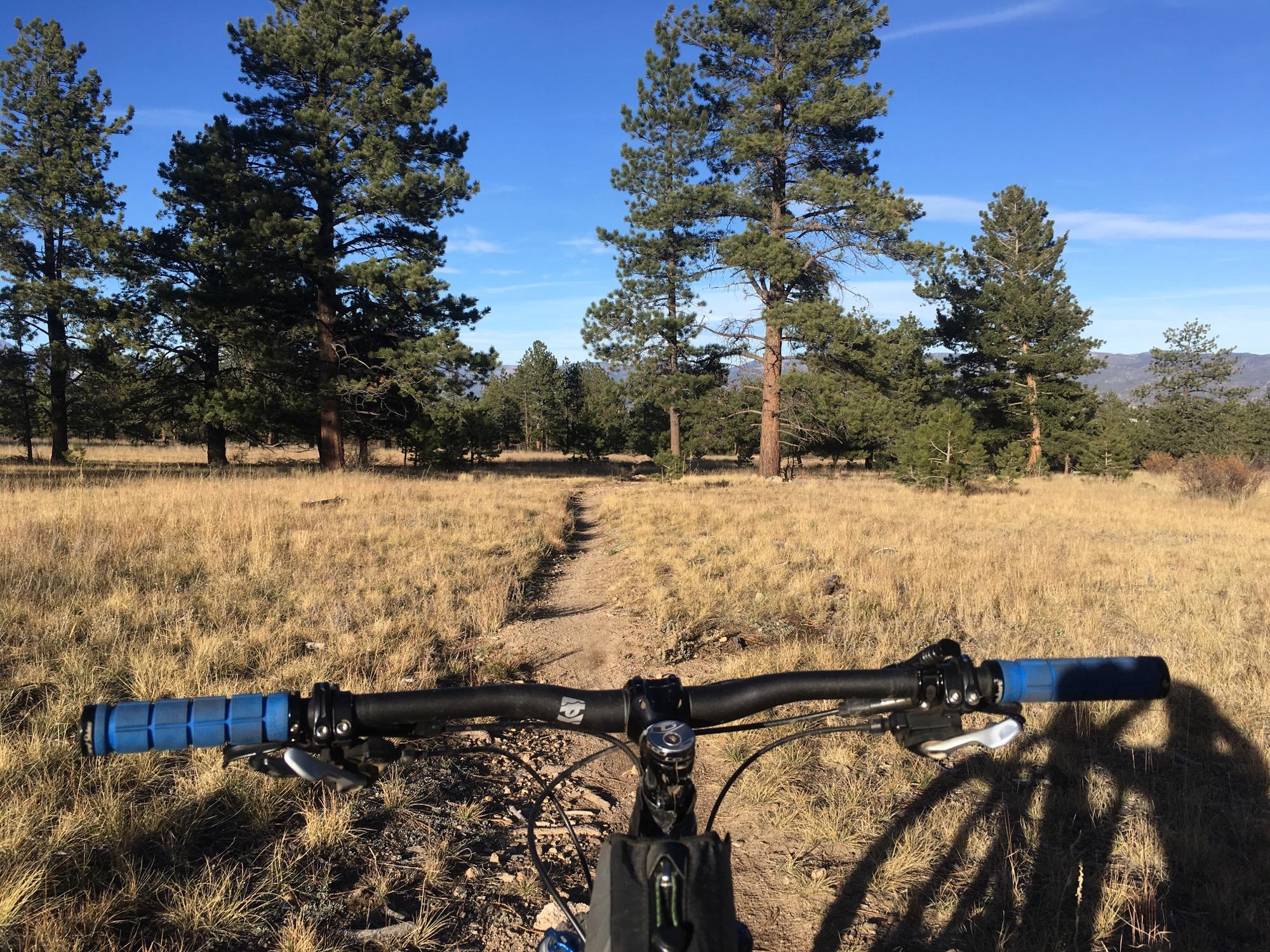 A view from the handlebars of a mountain bike, facing a dirt path through a grassy area surrounded by tall pine trees under a clear blue sky. Colorado Trail: Mt. Shavano thd to Chalk Creek thd mountain bike trail.