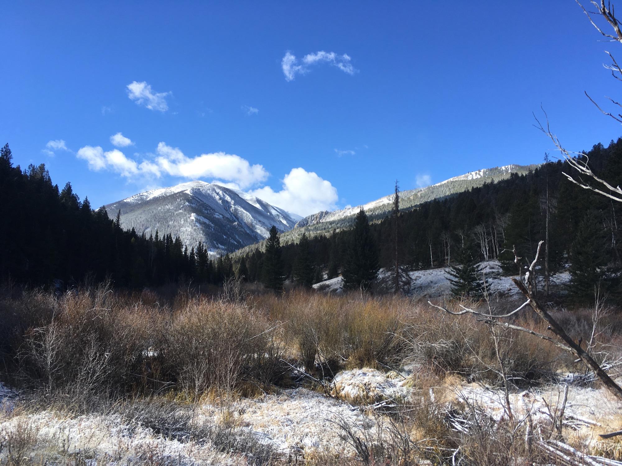 A scenic mountain landscape featuring snow-capped peaks in the background, surrounded by evergreen forests and patches of shrubs in the foreground. The sky is bright blue with a few scattered clouds, creating a serene and picturesque natural setting. Rainbow Trail: Silver Creek to Hwy 285 mountain bike trail.
