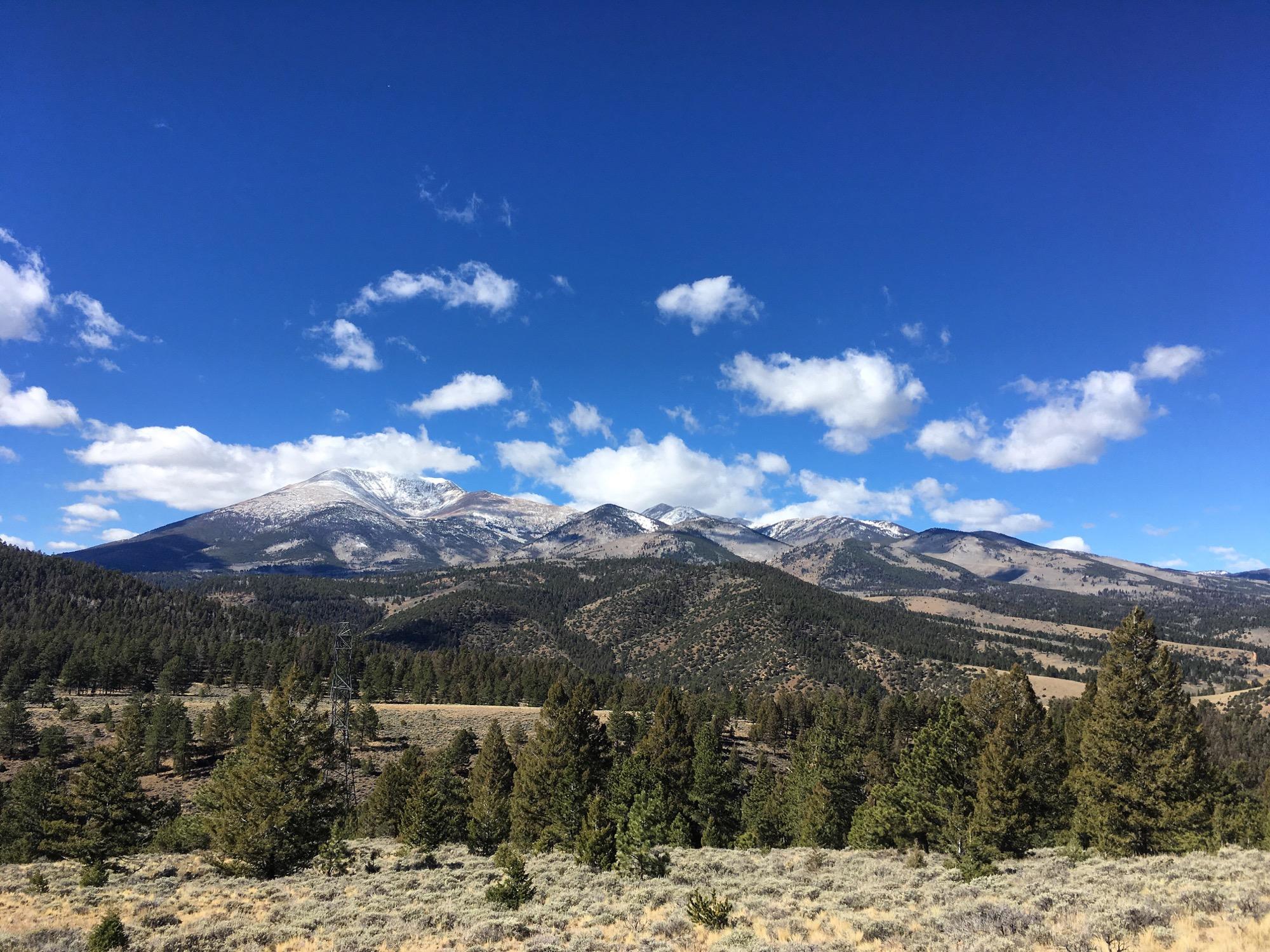 A scenic landscape featuring mountains in the background, partially covered with snow, under a bright blue sky with fluffy white clouds. In the foreground, there are green pine trees and a mix of grass and shrubs, showcasing a natural, rugged terrain. Rainbow Trail: Silver Creek to Hwy 285 mountain bike trail.