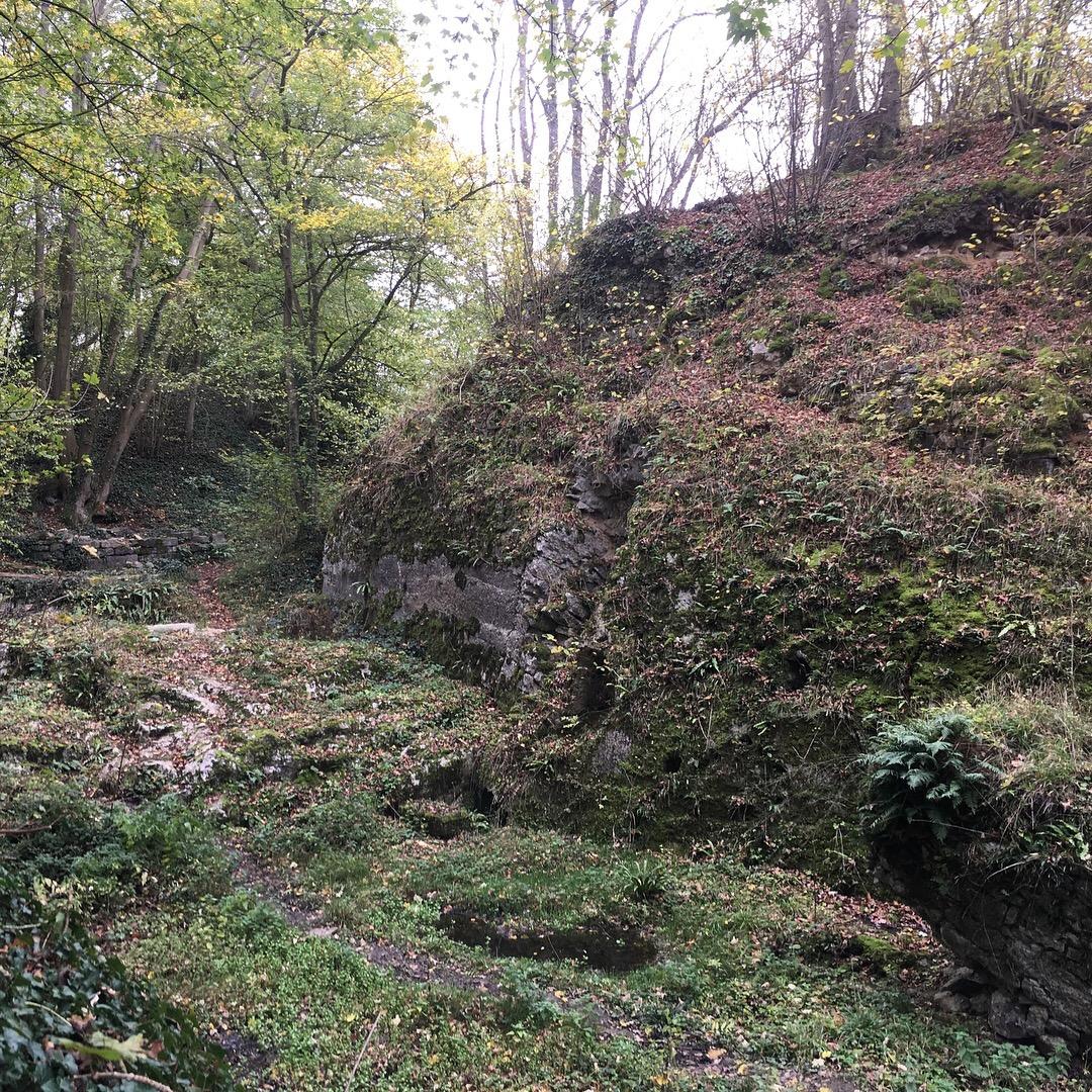 A serene natural landscape featuring a moss-covered rocky hill surrounded by lush greenery and trees. The ground is blanketed with grass and fallen leaves, creating a tranquil environment. GR126 Ridgetop Section mountain bike trail.