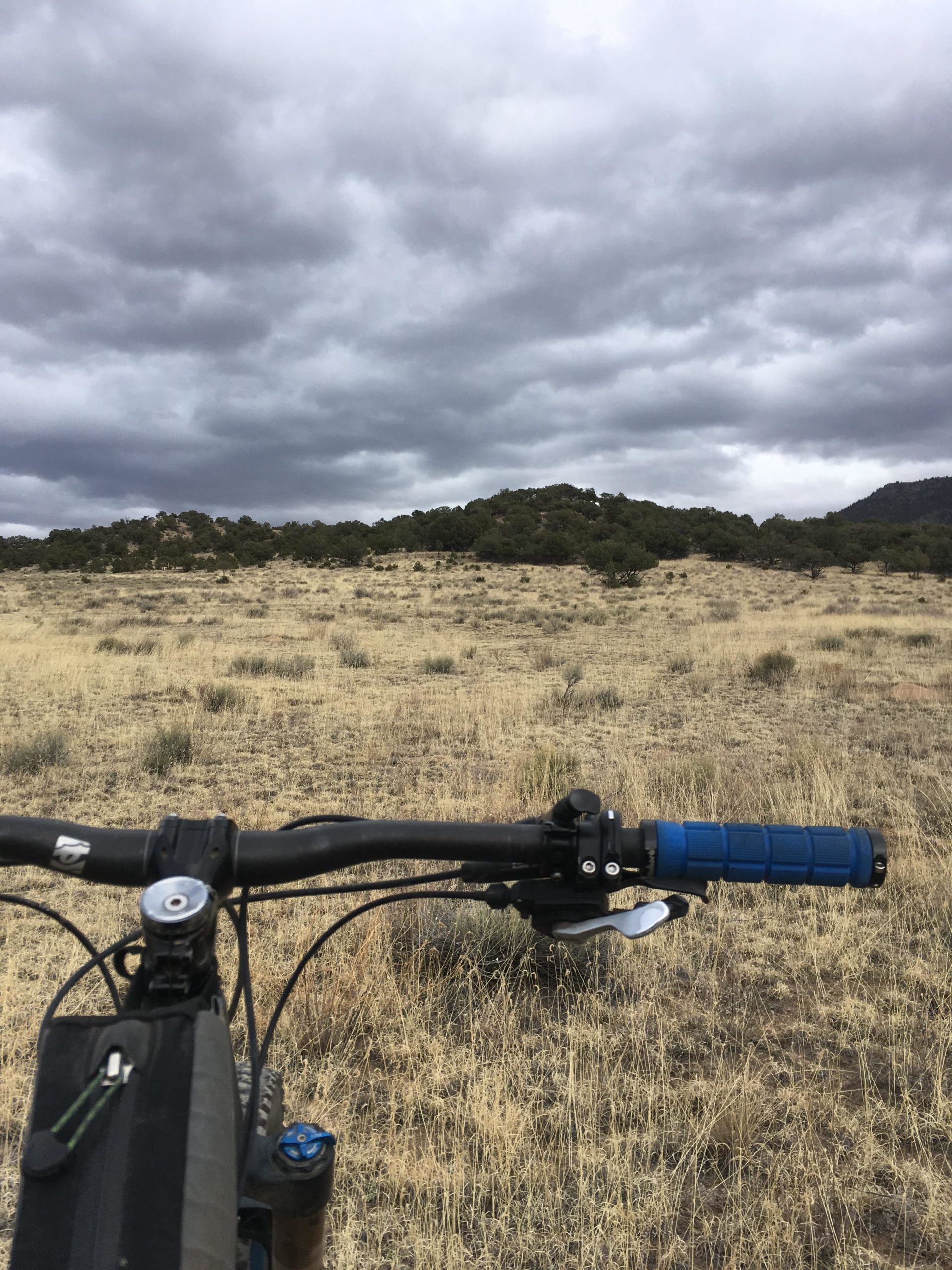 A view from the handlebars of a mountain bike, overlooking a dry, grassy landscape with sparse vegetation and a cloudy sky in the background. Midland Hills Trails mountain bike trail.