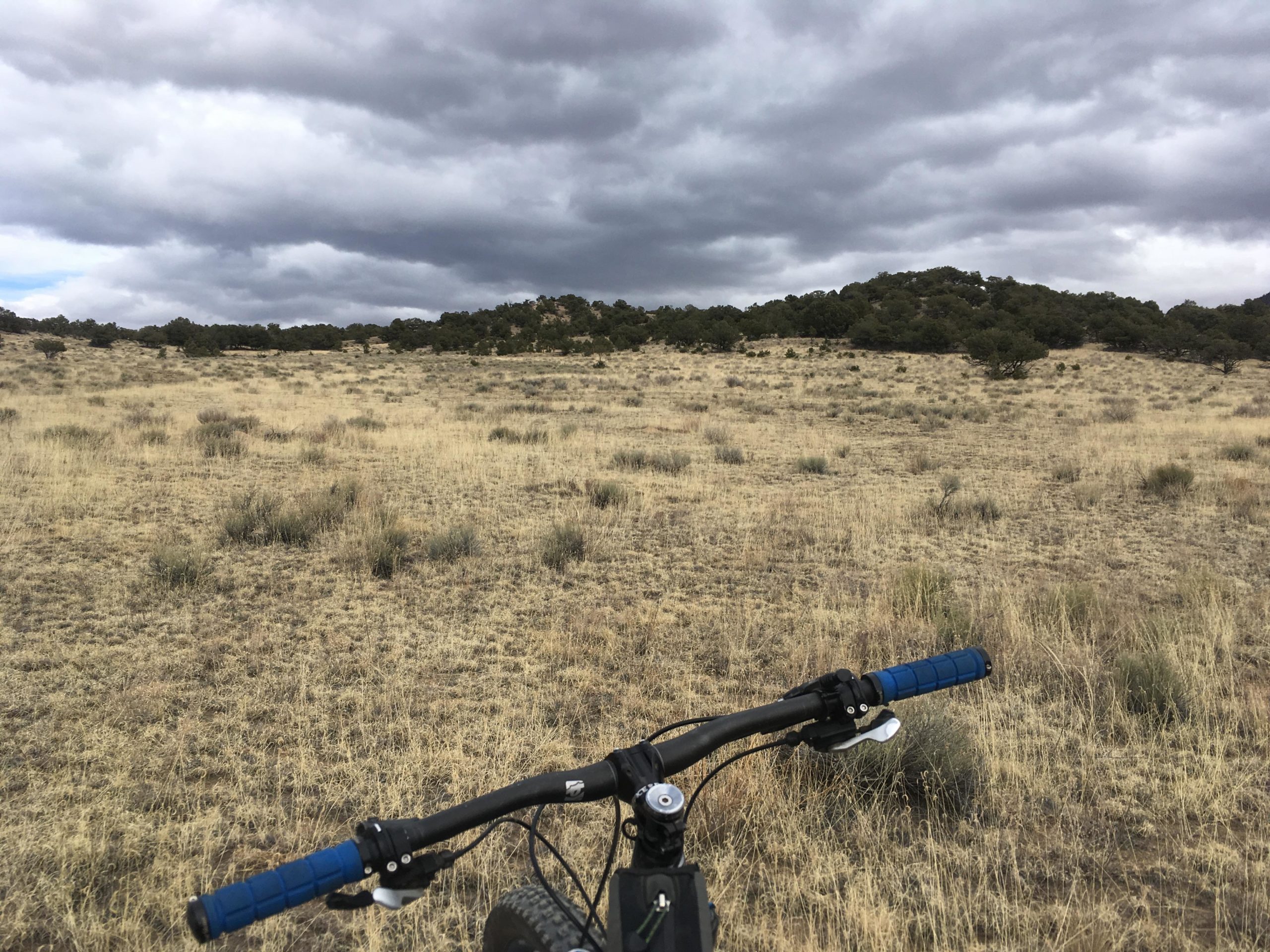 A view from the handlebars of a mountain bike, overlooking a vast grassy landscape under an overcast sky with dark clouds. In the distance, a hilly area with trees is visible, surrounded by dry grasses and shrubs. Midland Hills Trails mountain bike trail.