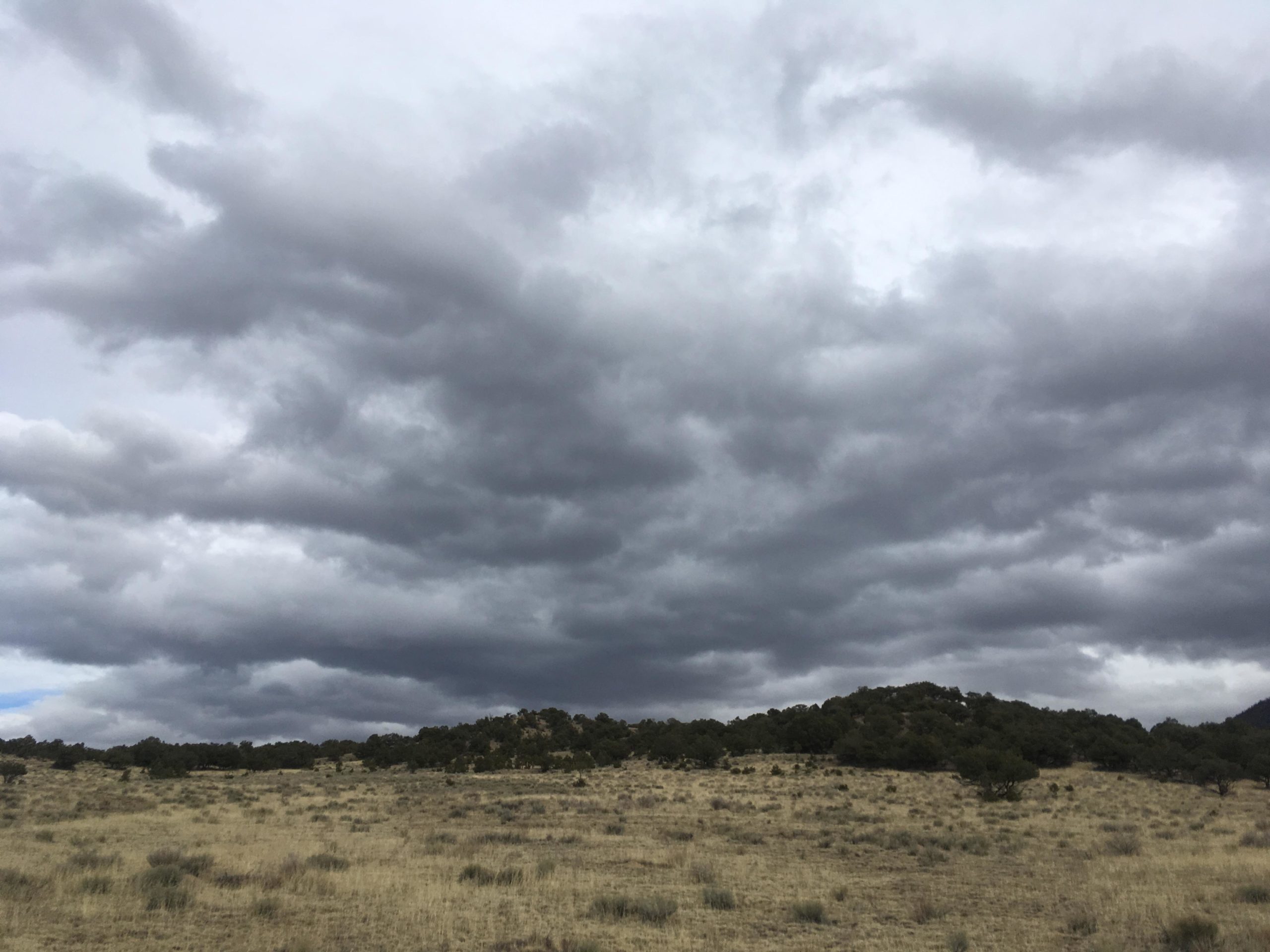 A cloudy sky filled with dark, swirling clouds above a grassland with sparse vegetation and a distant tree line on a hillside. Midland Hills Trails mountain bike trail.