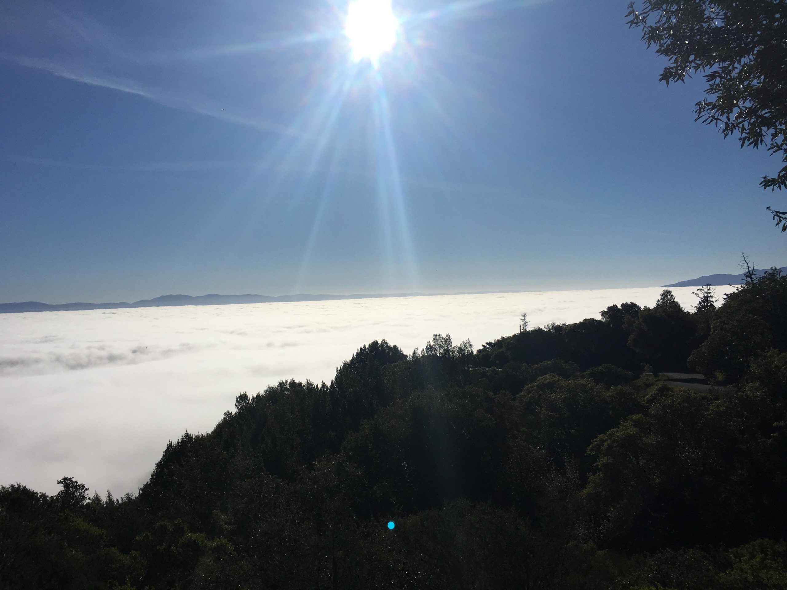 A bright sun shining over a landscape filled with thick clouds, creating a scenic view of white fog covering the hills below, with a clear blue sky above. Monte Bello / Rancho San Antonio mountain bike trail.