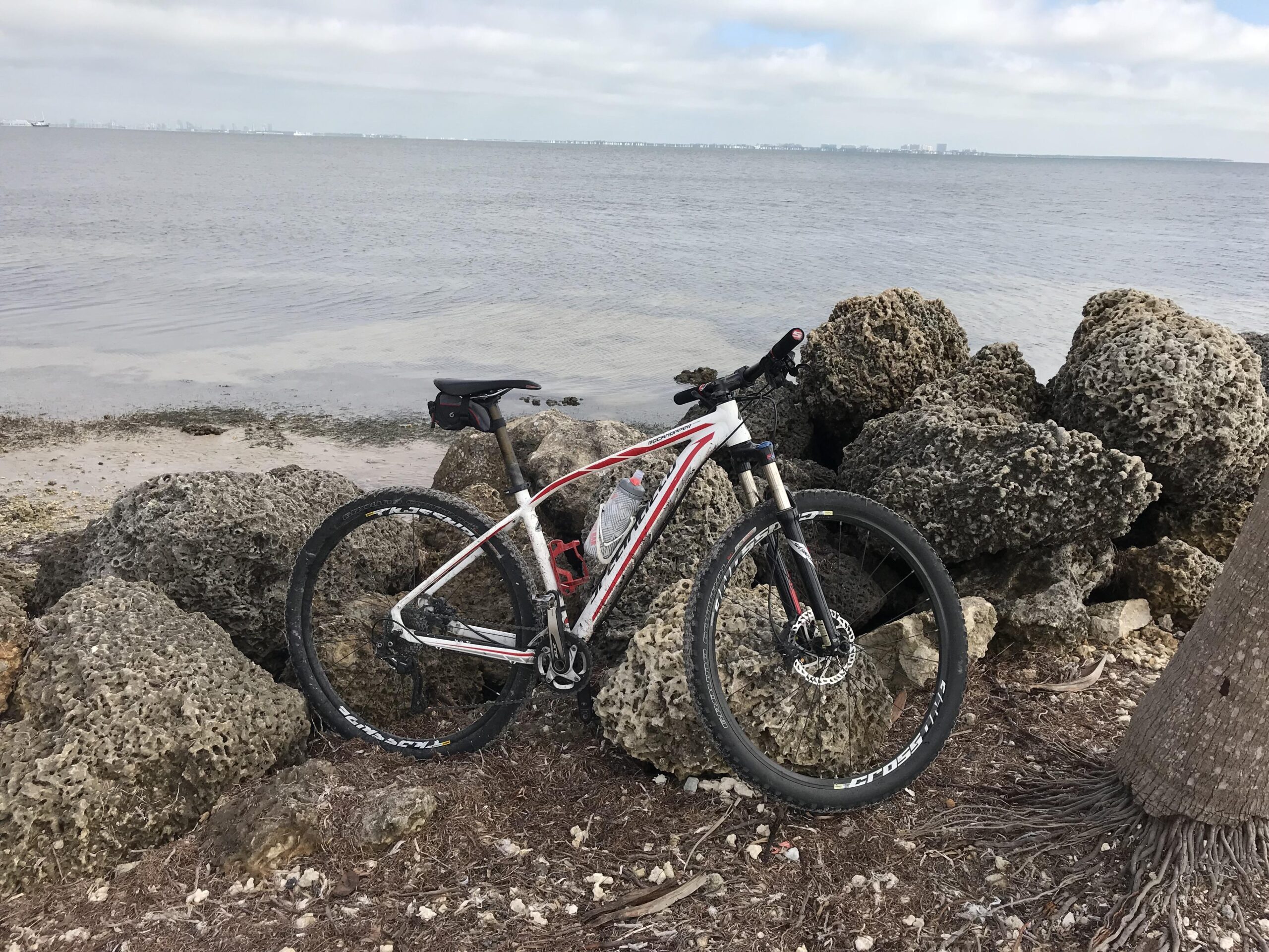Specialized Rockhopper Comp Disc: A mountain bike parked beside a rocky shoreline, with calm waters in the background and a cloudy sky above.