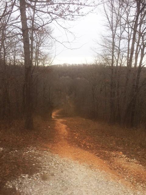 A winding dirt path leads through a serene forest, lined with bare trees and soft underbrush. The path narrows as it disappears into the distance, surrounded by muted colors of early winter, with a cloudy sky overhead. Slaughter Pen Trail mountain bike trail.