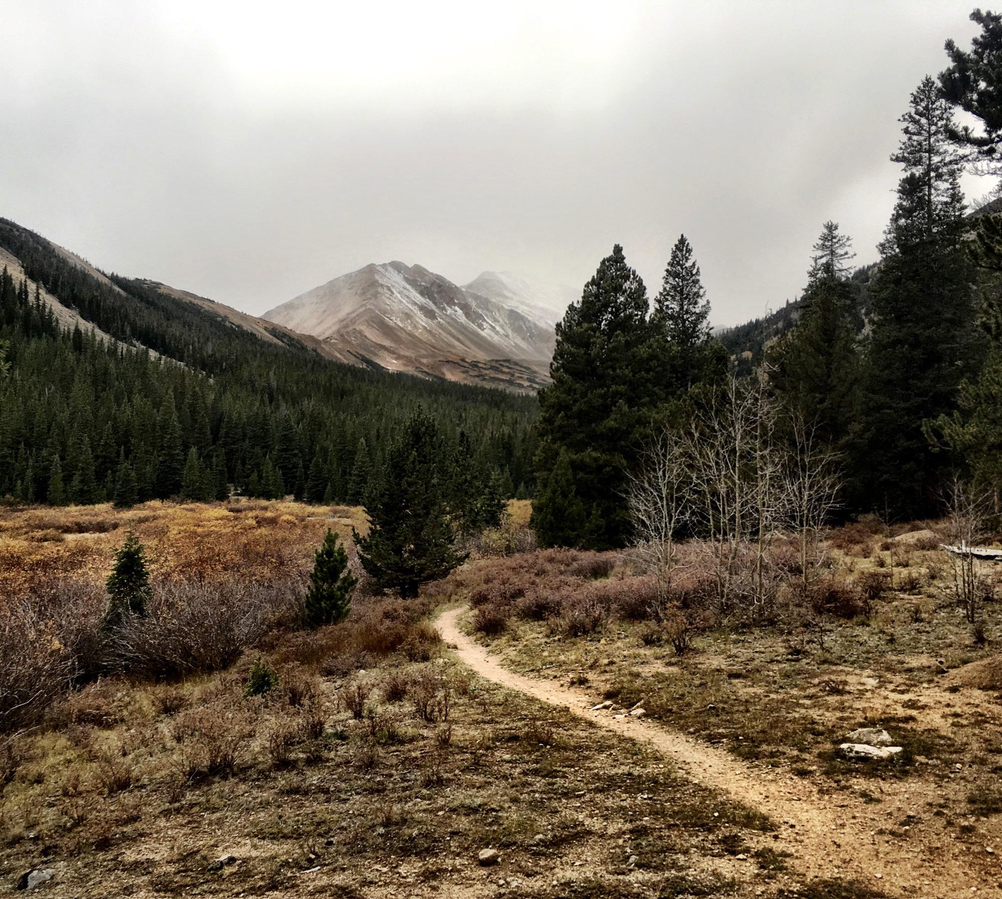 A winding dirt path leads through a scenic landscape of tall evergreen trees and low shrubs, under a cloudy sky. In the background, rugged mountains rise, some peaks dusted with snow. The overall atmosphere is tranquil, highlighting the natural beauty of the wilderness. Colorado Trail: North Cottonwood to Collegiate Peaks Wilderness mountain bike trail.