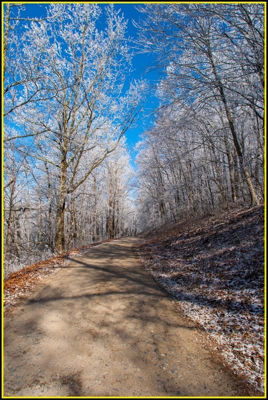 A serene dirt path winding through a snowy forest, flanked by trees adorned with frost against a clear blue sky. The ground is partly covered with fallen leaves, creating a picturesque winter scene. Winding Stairs Loop mountain bike trail.