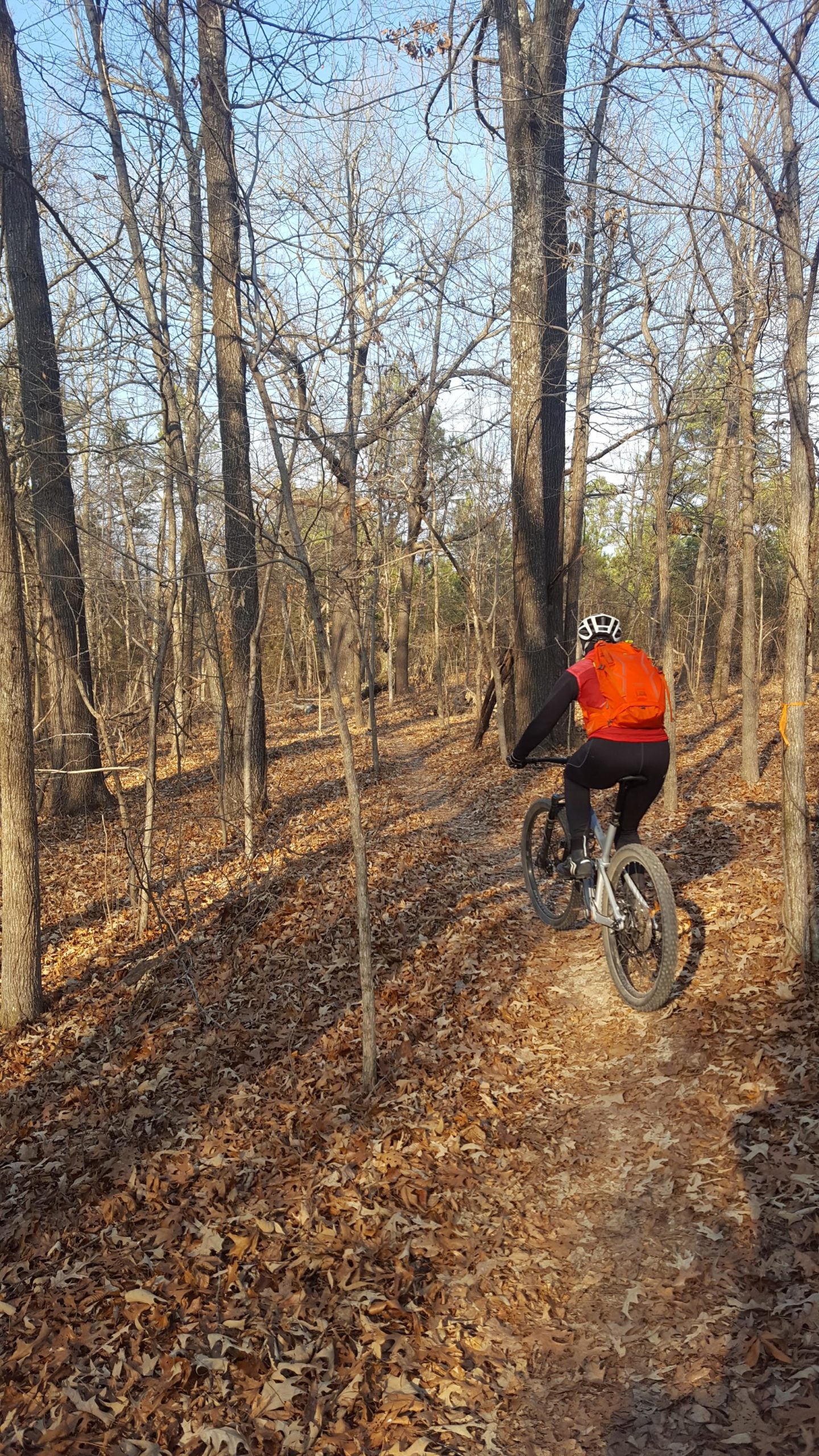 A person riding a mountain bike along a narrow trail through a wooded area with bare trees and fallen leaves on the ground. The rider is wearing a helmet and a bright orange backpack, demonstrating an active outdoor lifestyle in a natural setting. Bo Beckett Memorial Trail (BBMT) mountain bike trail.