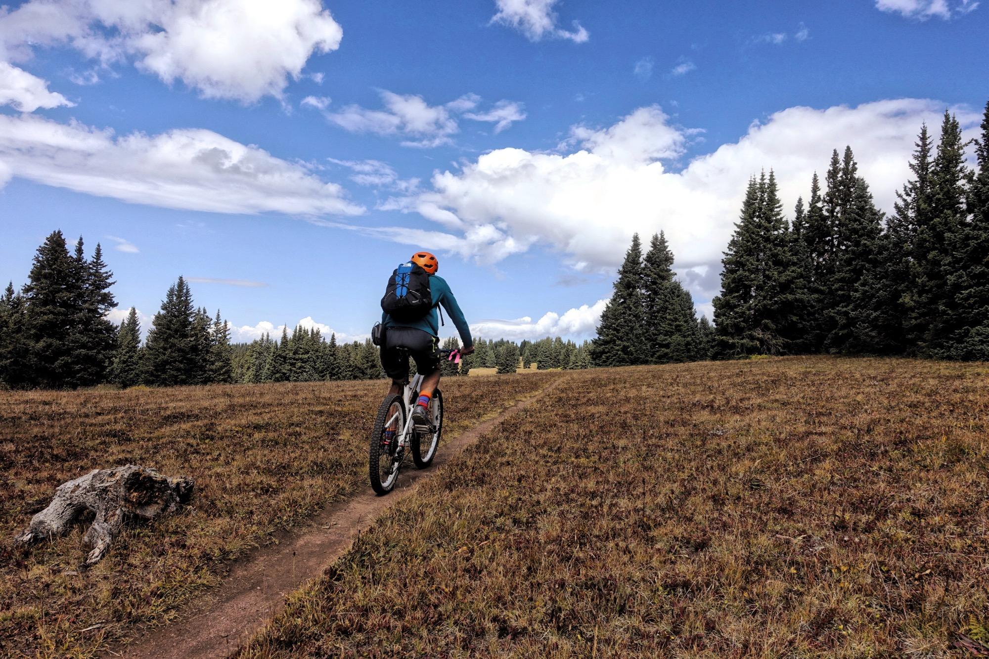 A mountain biker in a blue jacket and orange helmet rides on a dirt trail through a grassy field surrounded by pine trees under a partly cloudy sky. Two Elk via Vail Pass mountain bike trail.