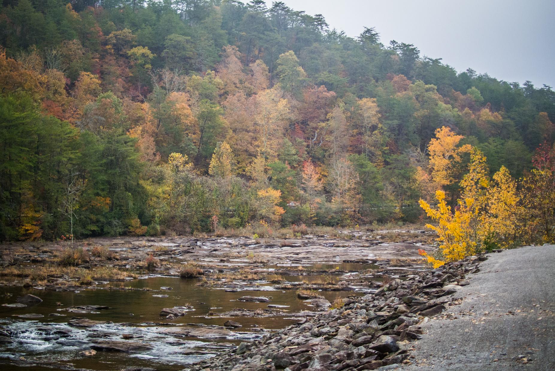 A serene landscape featuring a river bordered by rocky terrain, with vibrant autumn foliage on the surrounding trees in shades of yellow, orange, and green. The scene is set in a tranquil natural environment, under a cloudy sky. Tanasi Trail System mountain bike trail.