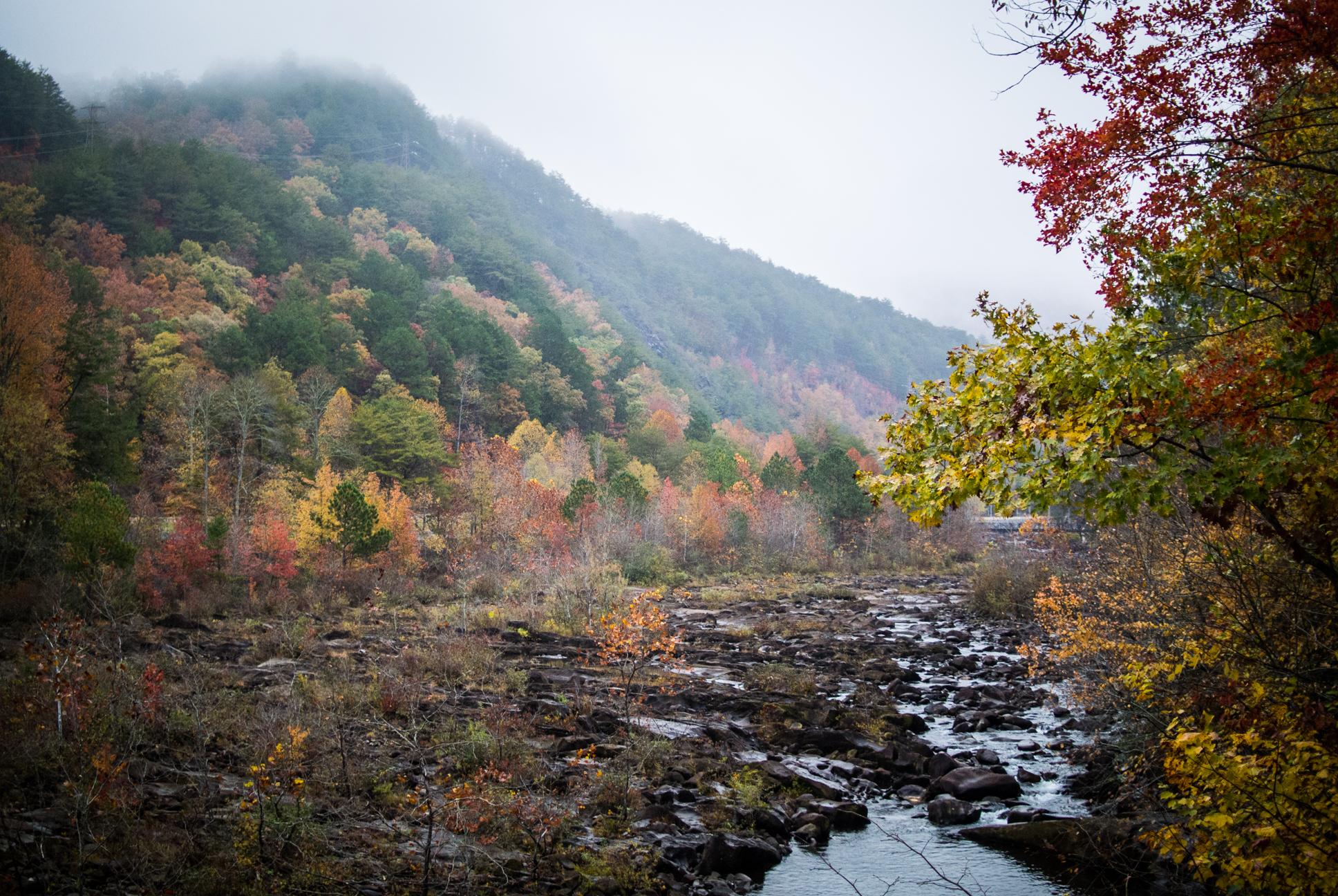 A misty landscape featuring a river winding through a rocky terrain, surrounded by a hillside adorned with vibrant fall foliage in shades of orange, yellow, and green. The scene conveys a tranquil atmosphere with fog hovering over the mountain tops. Tanasi Trail System mountain bike trail.