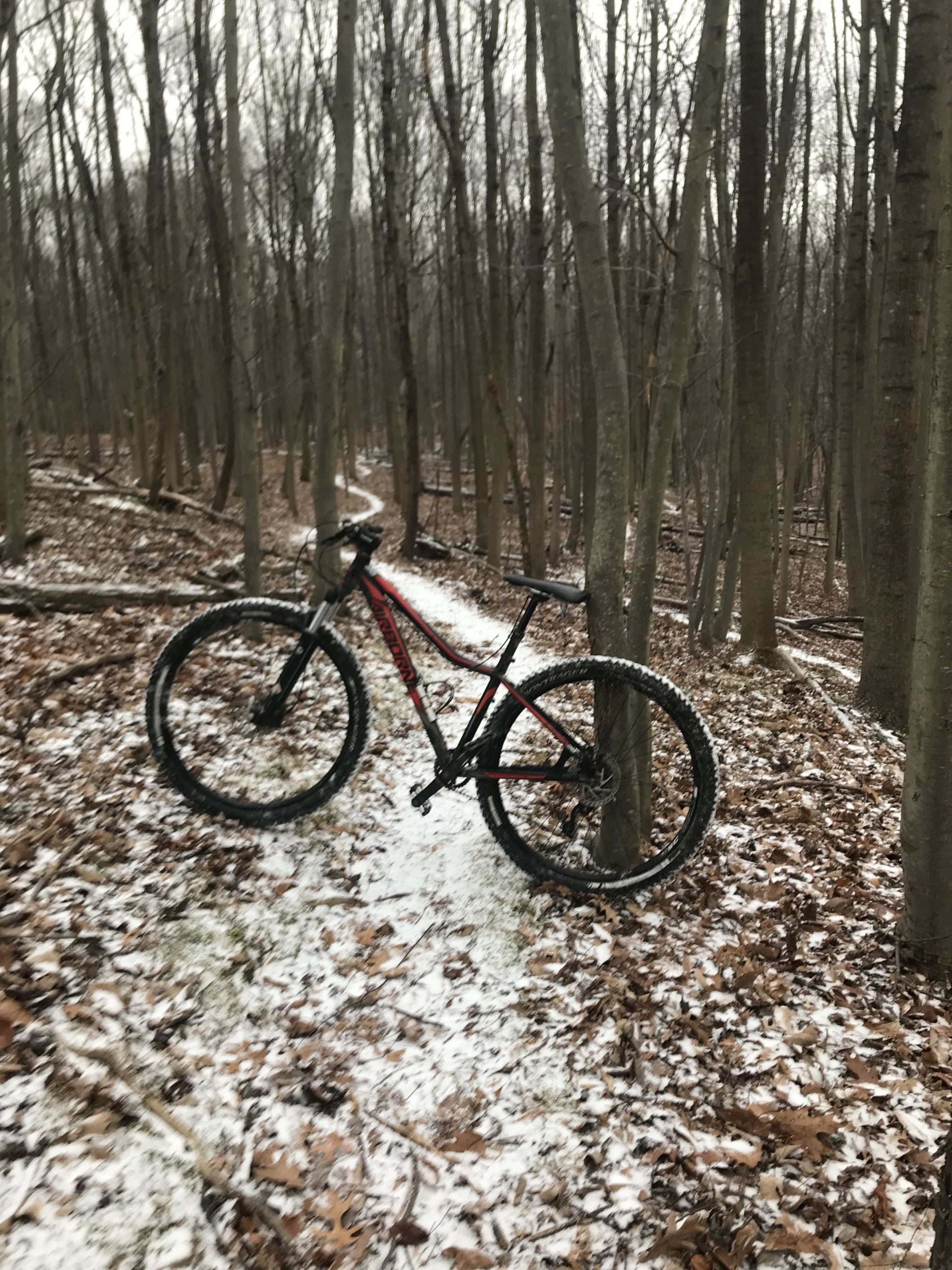 A red mountain bike resting against a tree on a snowy trail surrounded by bare trees and fallen leaves. The path winds through a winter landscape, with light snow covering the ground. Freedom Center mountain bike trail.