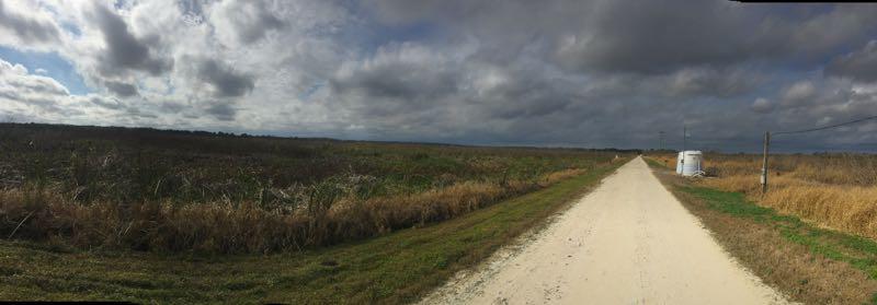 A panoramic view of a rural landscape featuring a sandy path bordered by tall grass and shrubs. The sky is overcast with large clouds, creating a dramatic atmosphere. In the distance, a white structure is visible along the path, surrounded by open fields that stretch toward the horizon. Lake Apopka Restoration Area mountain bike trail.