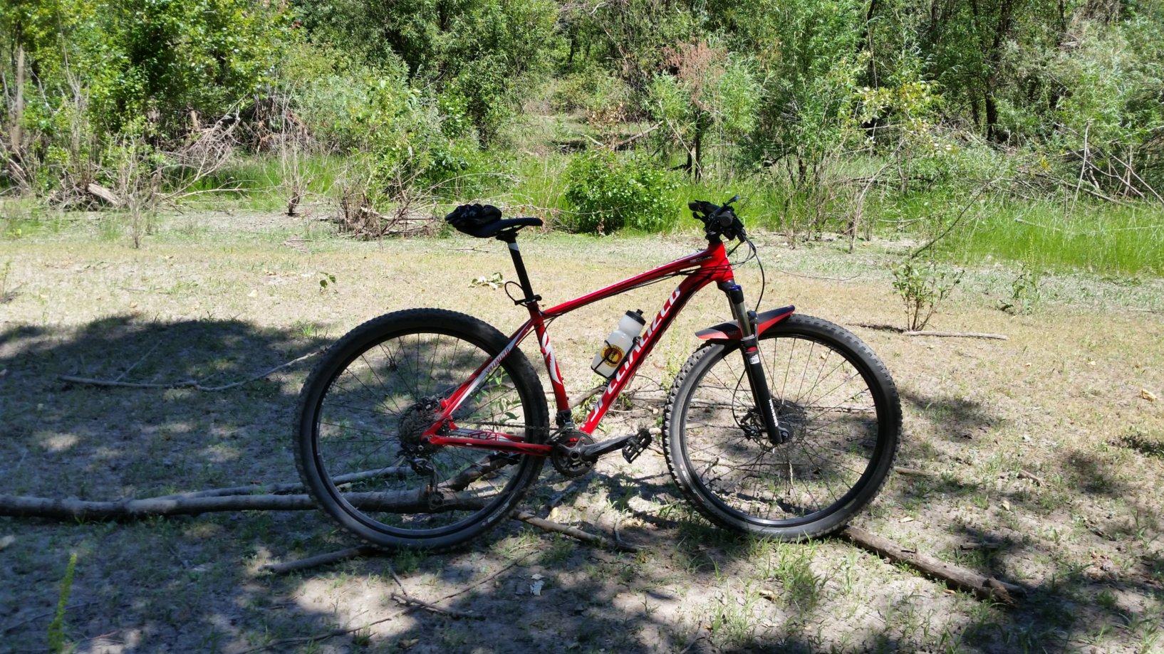 Specialized CRAVE 29: A red mountain bike is parked on a dirt path in a wooded area, surrounded by greenery. The bike has a water bottle attached to its frame and is positioned next to fallen branches. Sunlight filters through the trees, illuminating the scene.