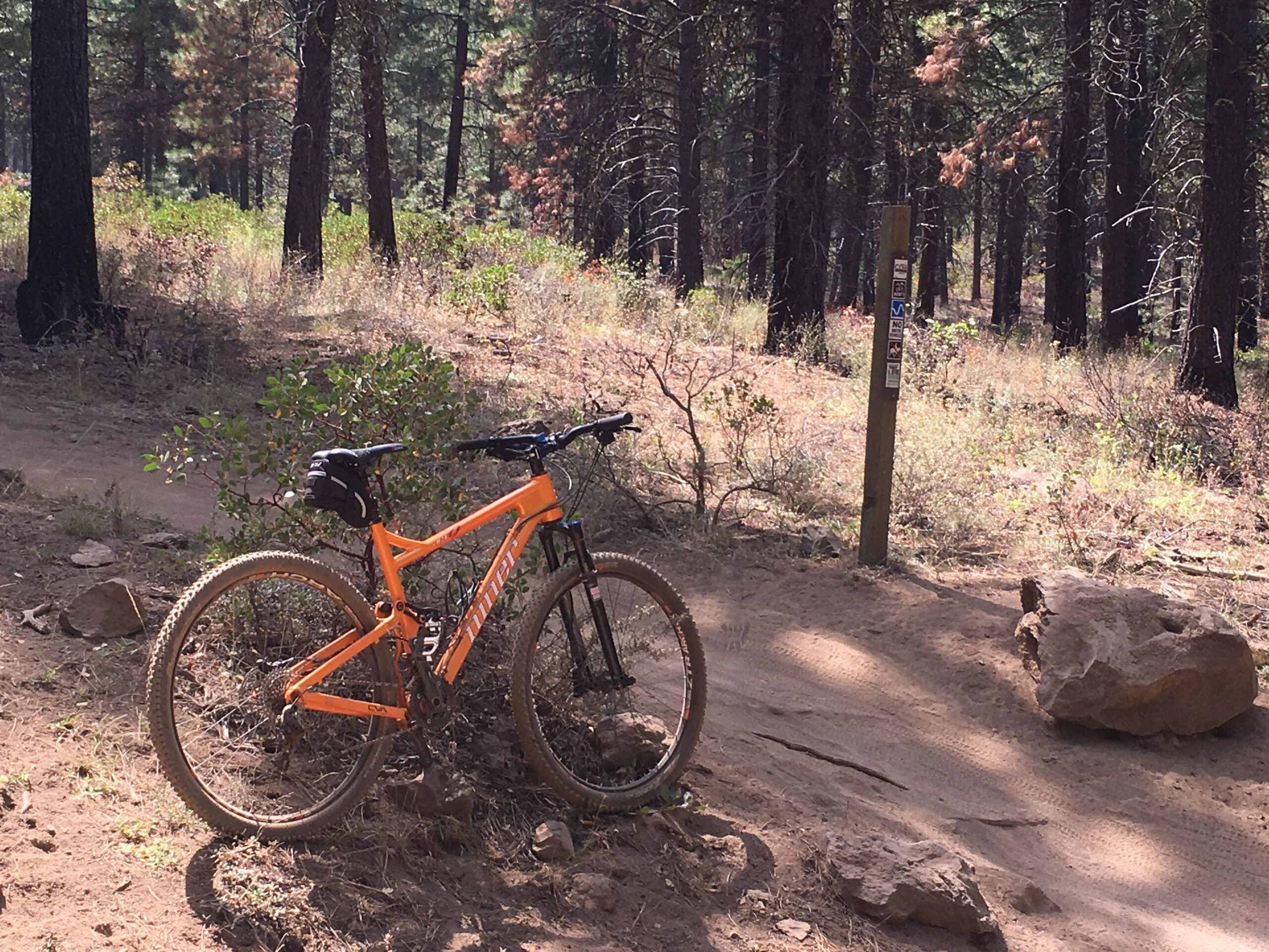 Niner Jet 9: A bright orange mountain bike rests on a dirt trail surrounded by tall pine trees. Nearby, a wooden trail sign is partially visible, indicating the direction and type of trail. The area is filled with greenery and rocky terrain, suggesting a scenic outdoor environment suitable for biking.