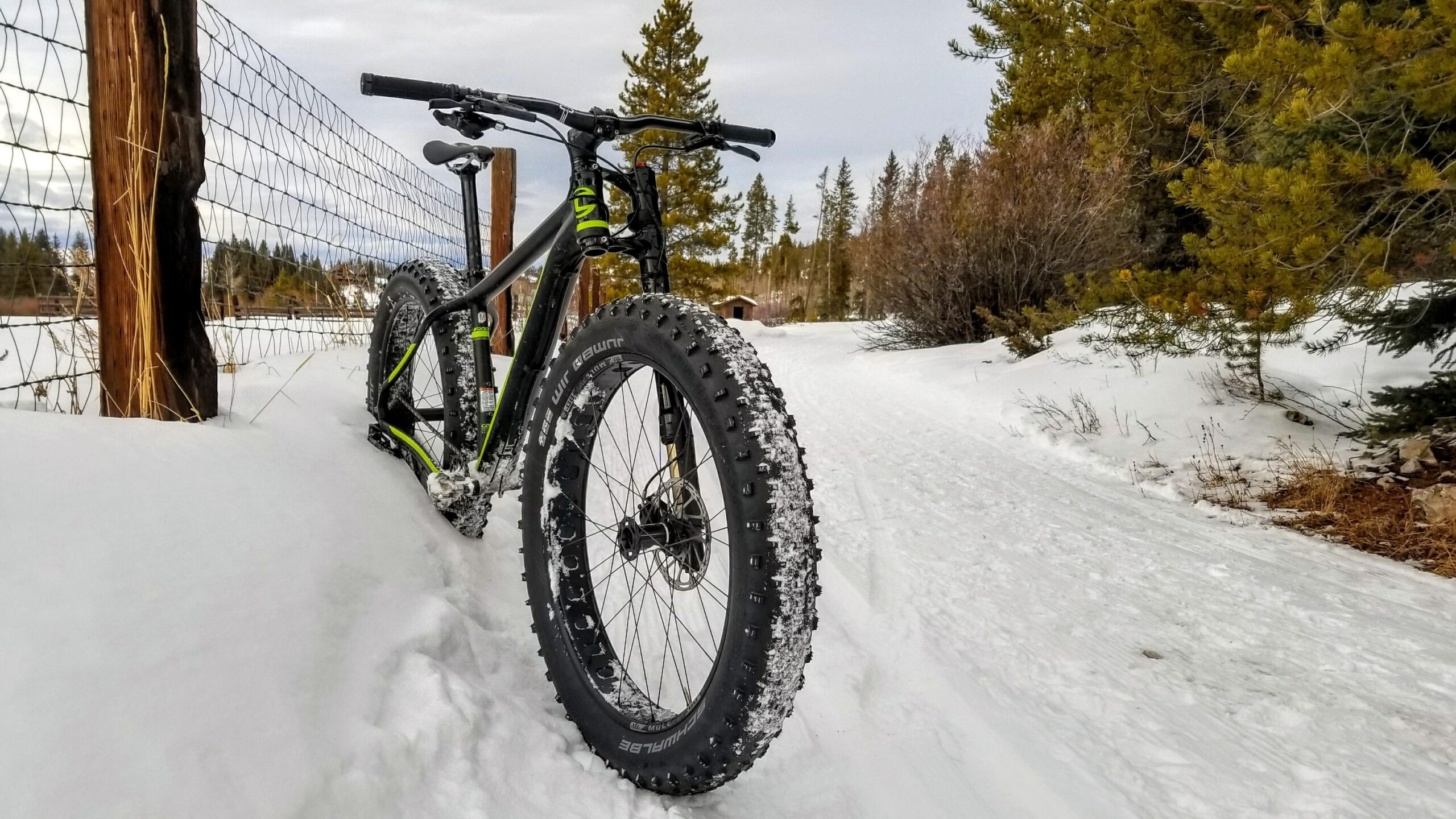 Cannondale Fat CAAD 1: A black fat bike with green accents resting against a wooden fence on a snowy path, surrounded by pine trees and a cloudy sky. The bike's large tires are partially covered in snow, indicating winter conditions.