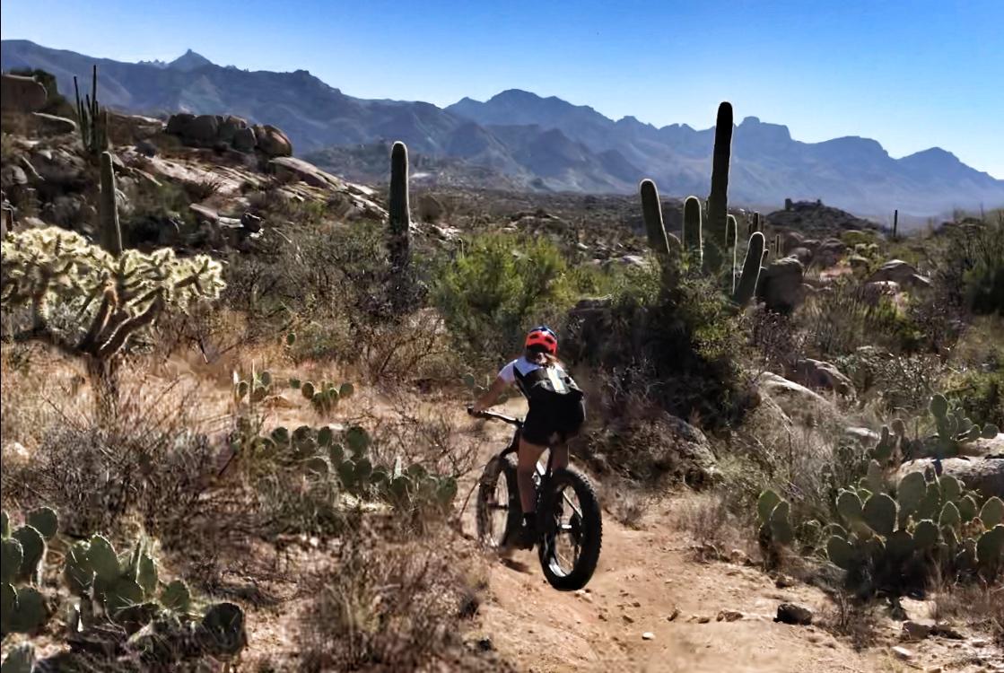 A child riding a fat tire bike along a dirt trail in a desert landscape, surrounded by cacti and rocky terrain, with mountains in the background under a clear blue sky. 50-year Trail / Golder Ranch mountain bike trail.