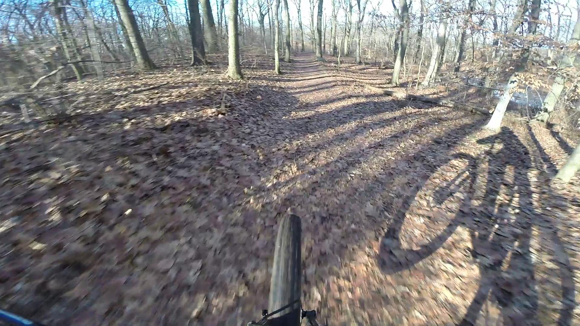A blurred view of a mountain bike tire on a leaf-covered dirt trail winding through a forest with bare trees, capturing a sense of movement and adventure. Richmond Avenue and Forest Hill road mountain bike trail.