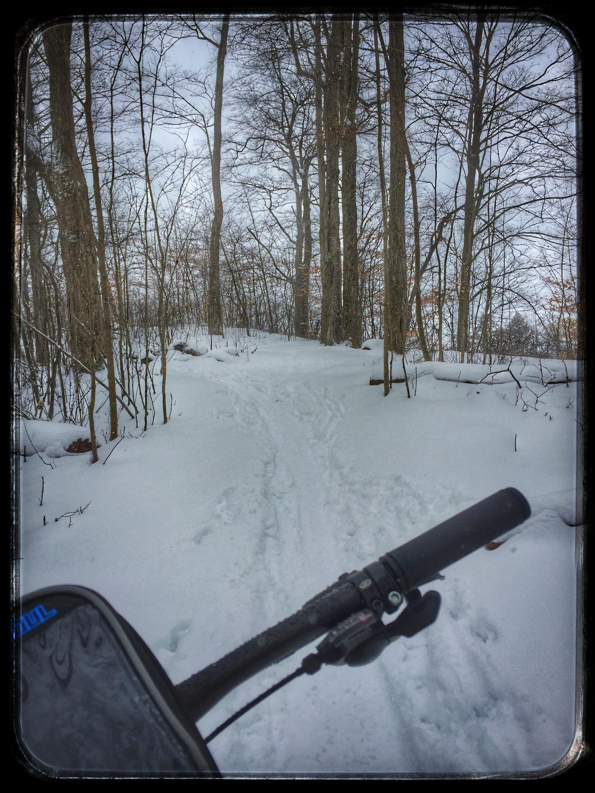 A view of a snowy trail in a wooded area, captured from the perspective of a bike handlebar. The ground is covered in snow, with bicycle tire tracks visible. Tall, leafless trees rise in the background under a cloudy sky, suggesting a winter landscape. Fanshawe Lake mountain bike trail.