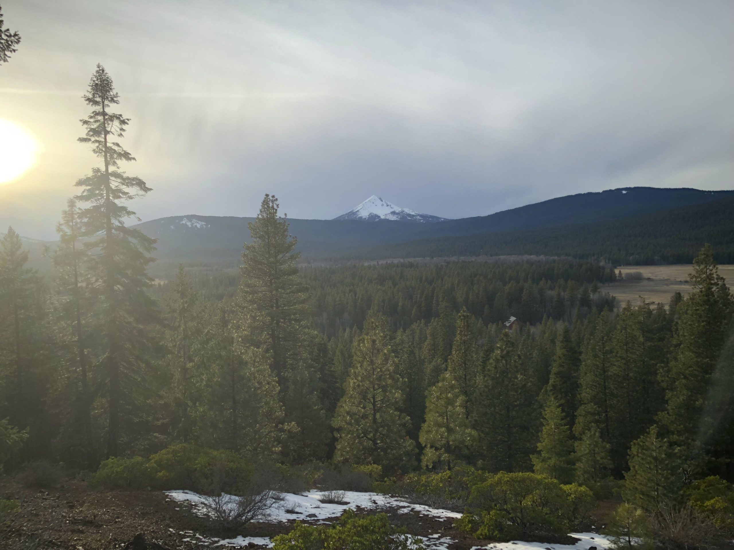 A panoramic view of a mountainous landscape at sunrise, featuring a snow-capped peak in the background. Tall pine trees dominate the foreground, with a mixture of greenery and patches of snow on the ground. The sky displays soft, diffused light, creating a serene atmosphere in the natural setting. Scrantalicious mountain bike trail.