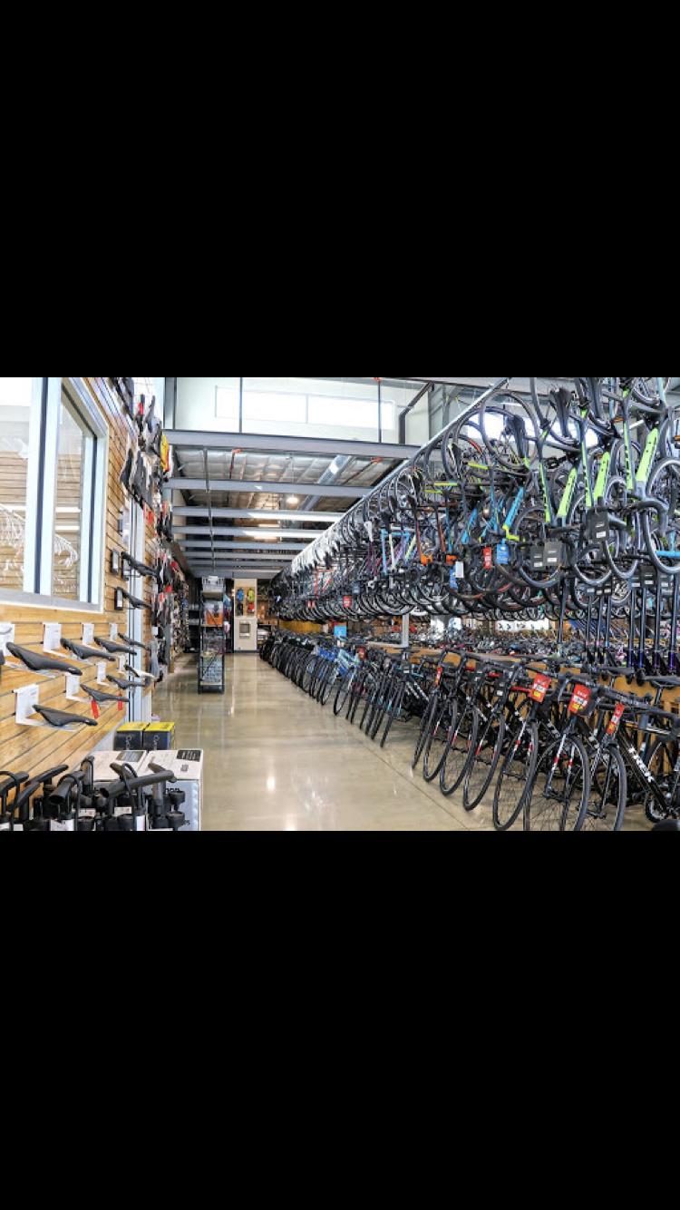 A spacious bike shop interior featuring rows of bicycles on display. The bicycles hang from racks on the ceiling, while additional bikes are neatly arranged on the floor. Along the walls, shelves hold various bike accessories and equipment. The space is well-lit, showcasing a wide selection of bikes and gear.