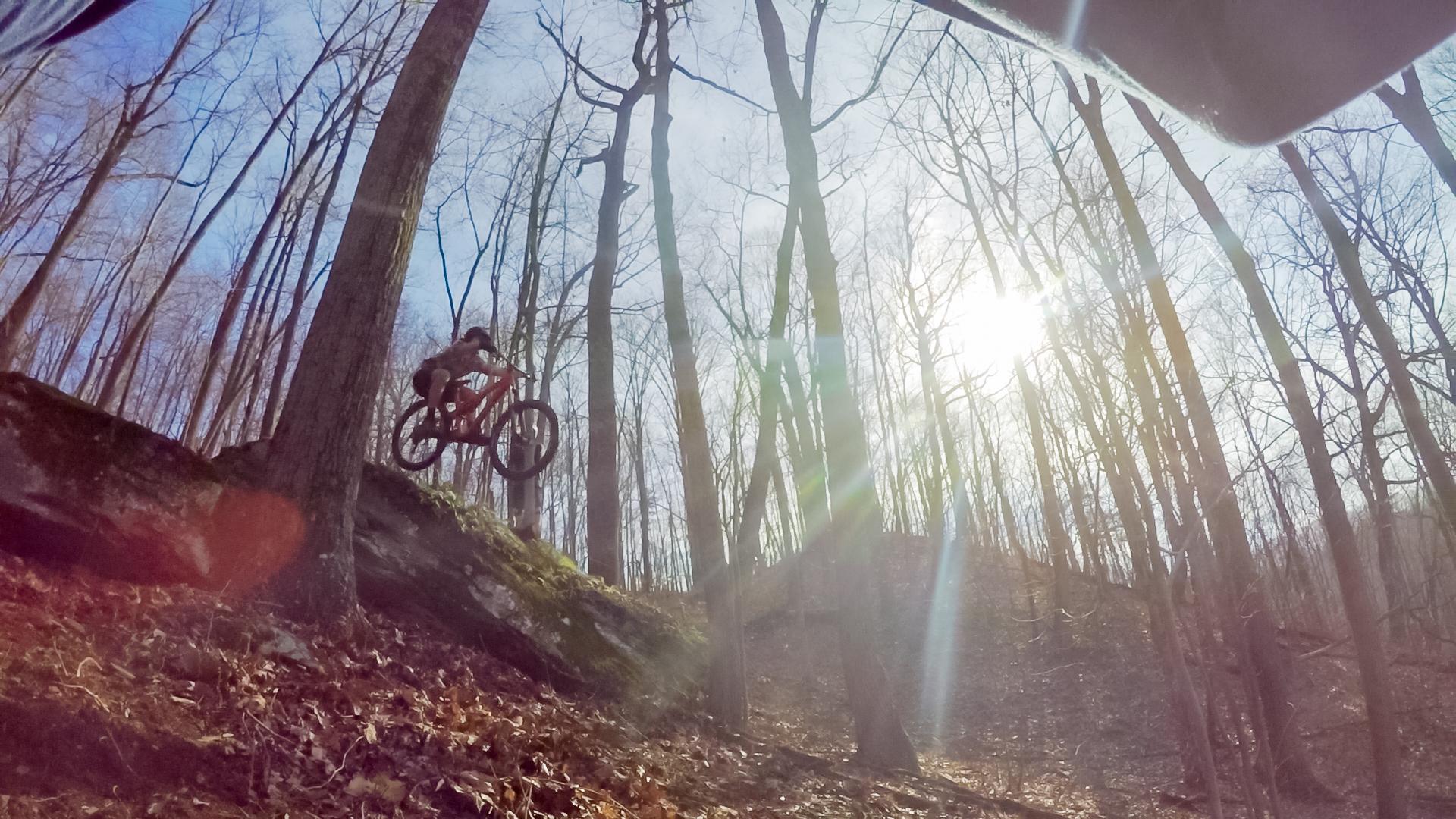 A mountain biker jumps off a rock ledge in a forested area, with tall trees and sunlight filtering through the branches. The ground is covered in leaves, indicating a natural trail environment. The image captures the action and excitement of mountain biking in nature. Black Bear Trail mountain bike trail.