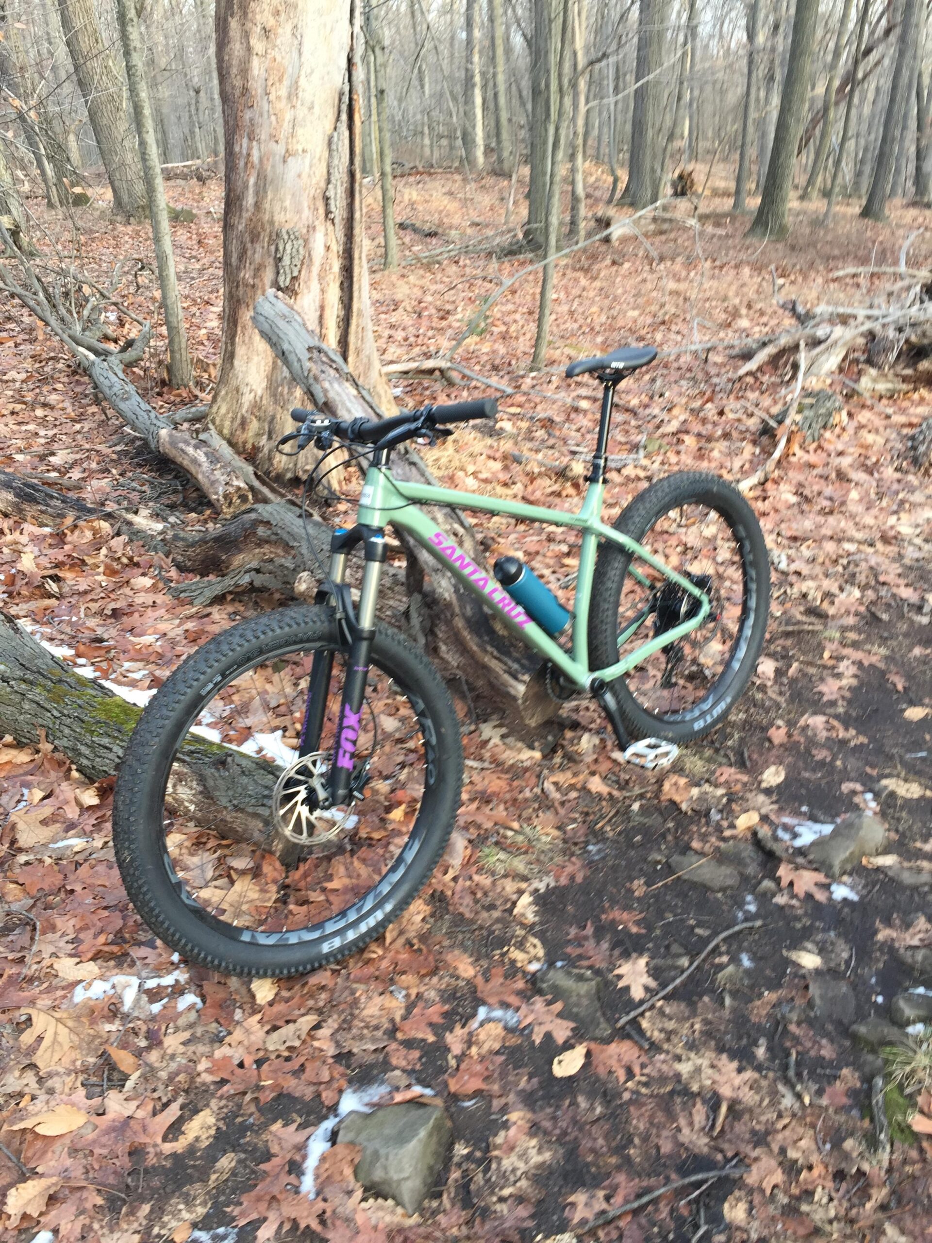 Santa Cruz Chameleon: A mountain bike leans against a large tree in a wooded area covered with fallen leaves. The scene features a mix of bare trees and scattered rocks, hinting at early winter conditions with some patches of snow on the ground.