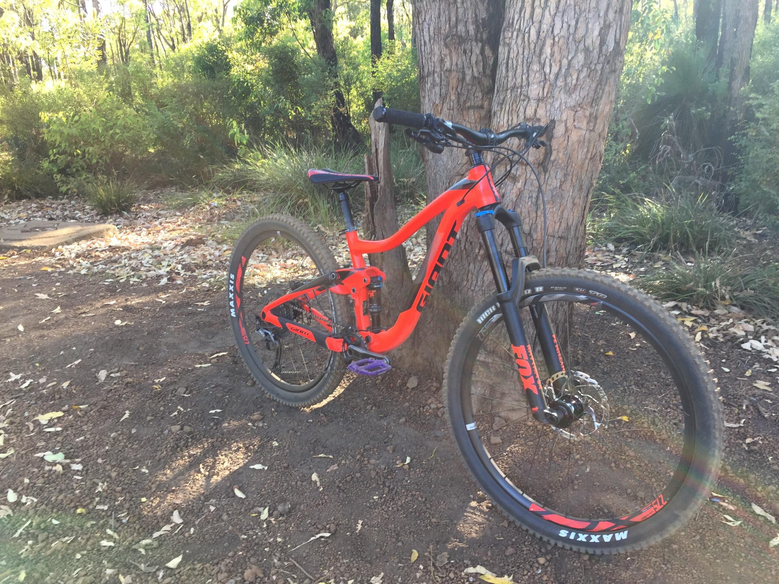 Giant Trance 27.5 2: A vibrant orange mountain bike leaning against a tree in a forested area, surrounded by green foliage and scattered leaves on the ground. The bike features thick tires and a responsive suspension setup, ready for outdoor adventures.