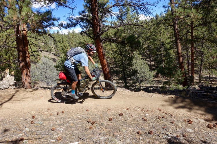 A person riding a mountain bike on a dirt trail surrounded by trees and pinecones, with a backpack and gear. The scene is set in a green forest under a blue sky with scattered clouds.