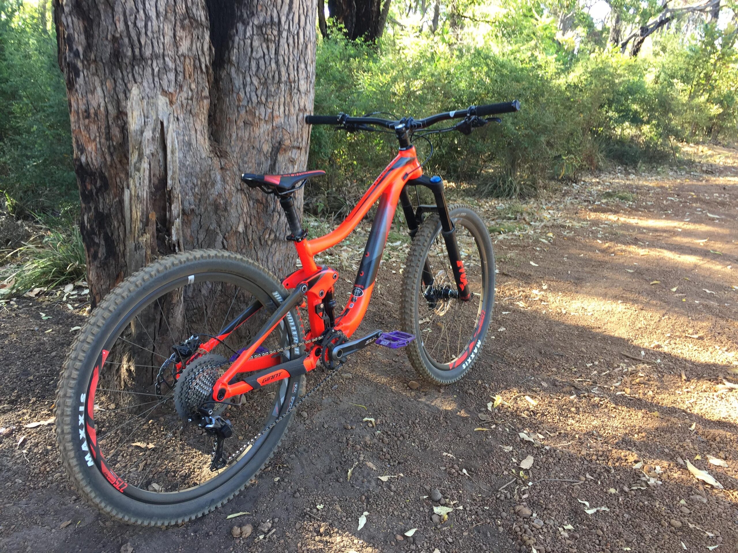 Giant Trance 27.5 2: Mountain bike leaned against a textured tree trunk on a dirt trail, surrounded by greenery and sunlight filtering through the trees. The bike has a bright orange frame with black and purple components, showcasing off-road tires and a sturdy design suitable for rugged terrain.