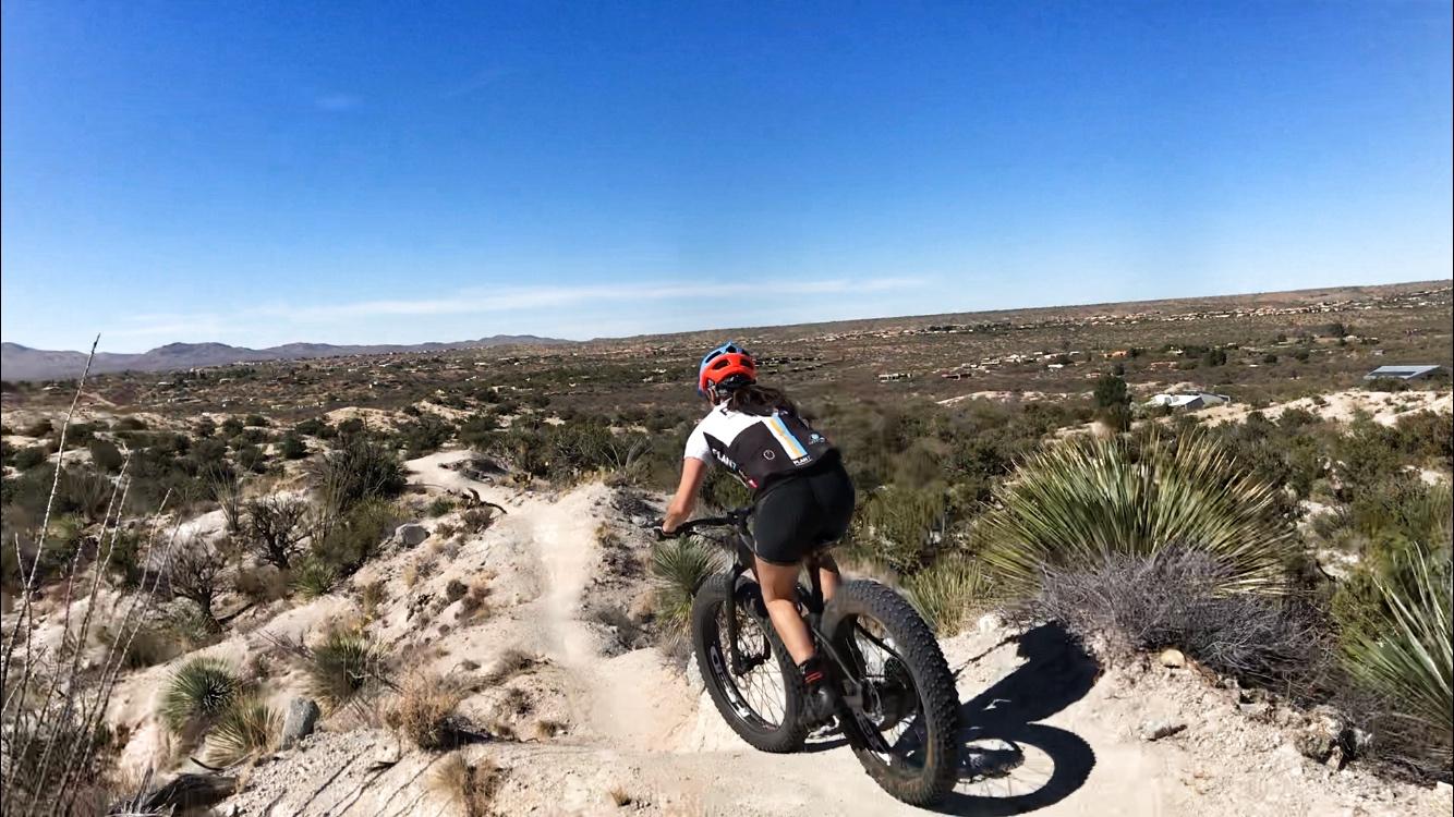 A person riding a fat bike on a dirt trail through a desert landscape, with cacti and shrubs in the foreground and rolling hills in the background under a clear blue sky. 50-year Trail / Golder Ranch mountain bike trail.