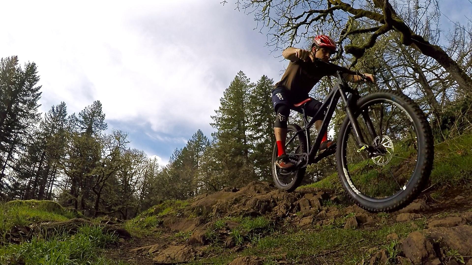 Terrene McFly: A mountain biker navigating a rocky trail, surrounded by tall trees and greenery, with a bright sky in the background. The biker is focused and leaning forward, showcasing skill and control as they ride over the uneven terrain.
