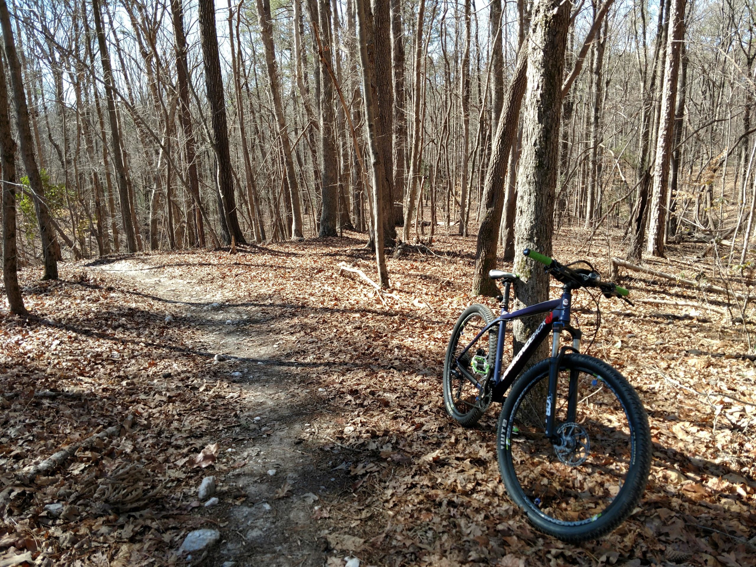 A mountain bike leaning against a tree on a wooded trail. The ground is covered with fallen leaves, and the trees in the background are bare, indicating it's likely early spring or late fall. A winding dirt path leads into the forest. San-lee Park mountain bike trail.