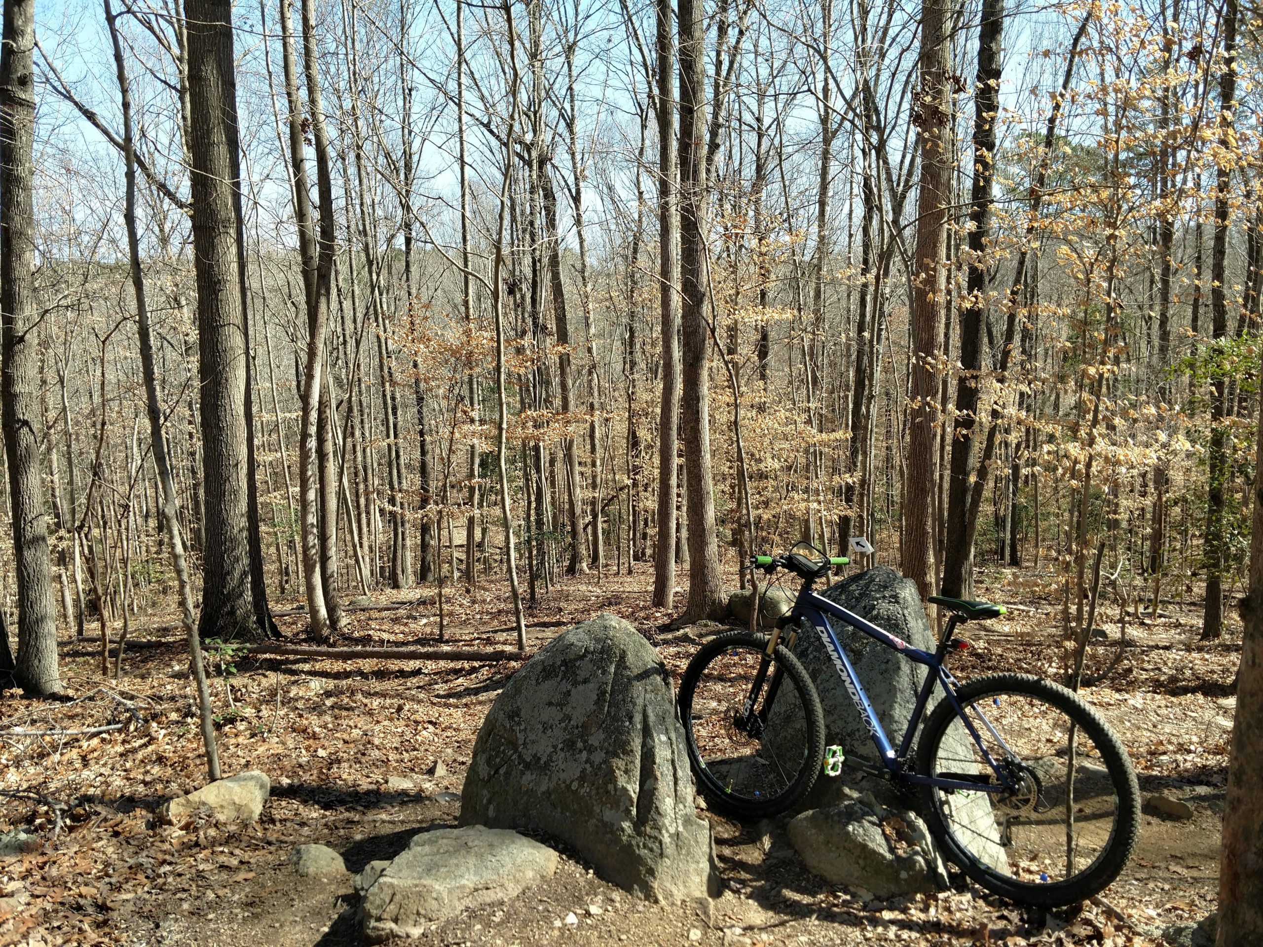 A mountain bike leaning against a large rock in a serene, leaf-strewn forest with bare trees and a clear blue sky. San-lee Park mountain bike trail.